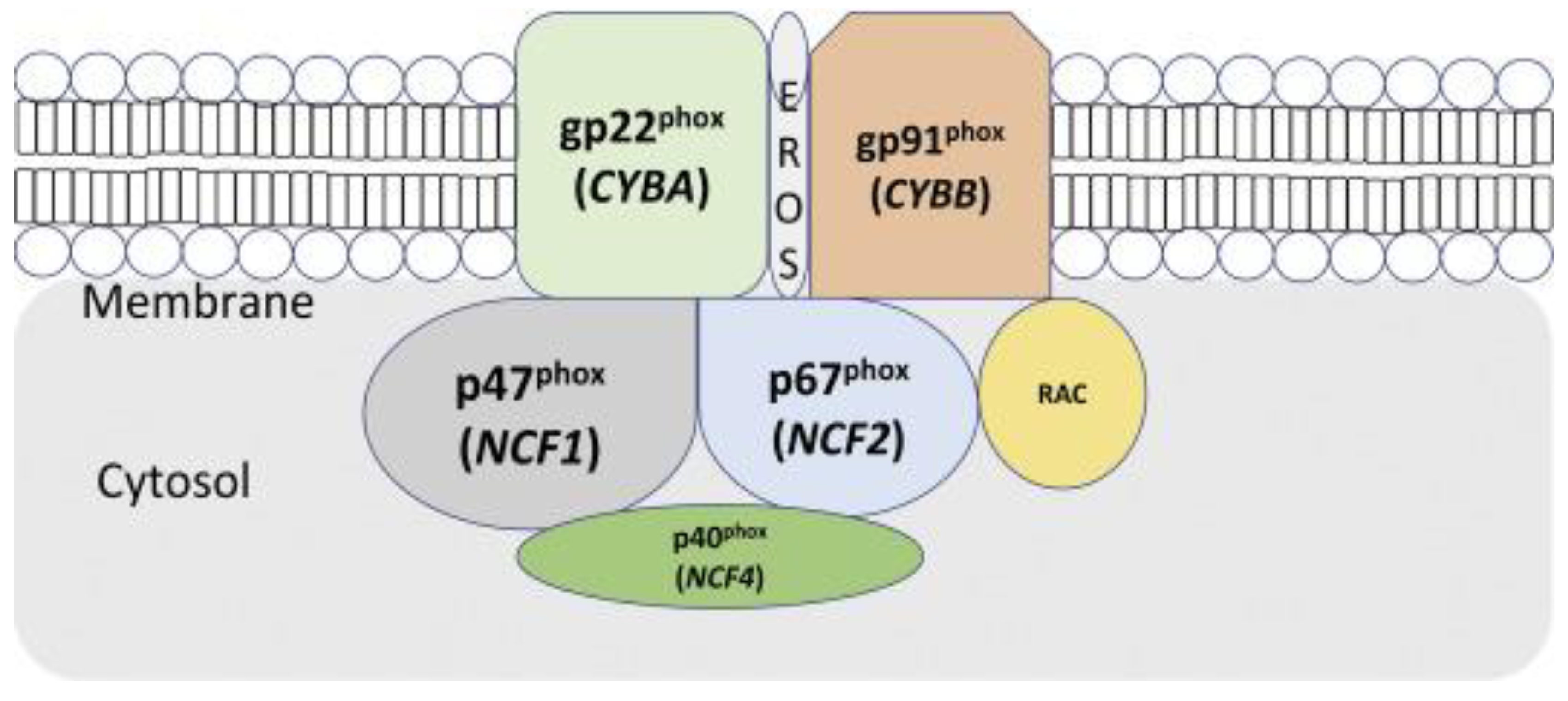 Preprints 77233 g002