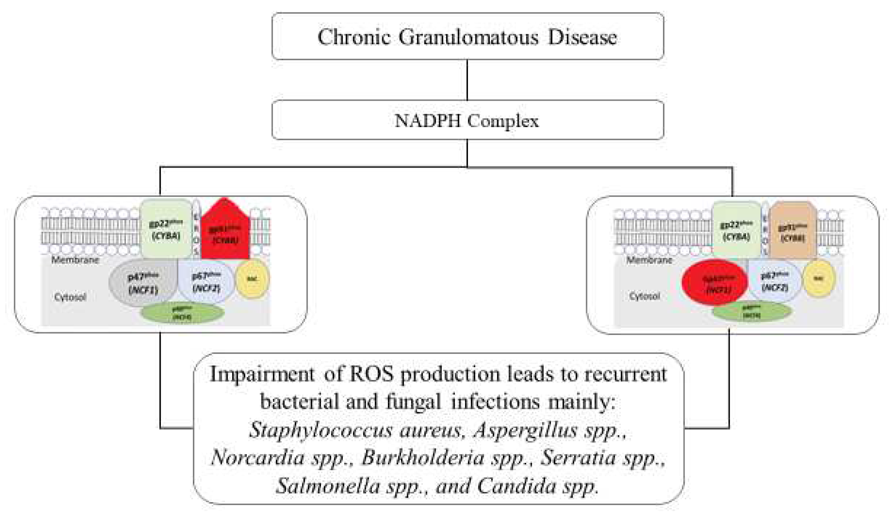 Preprints 77233 g003