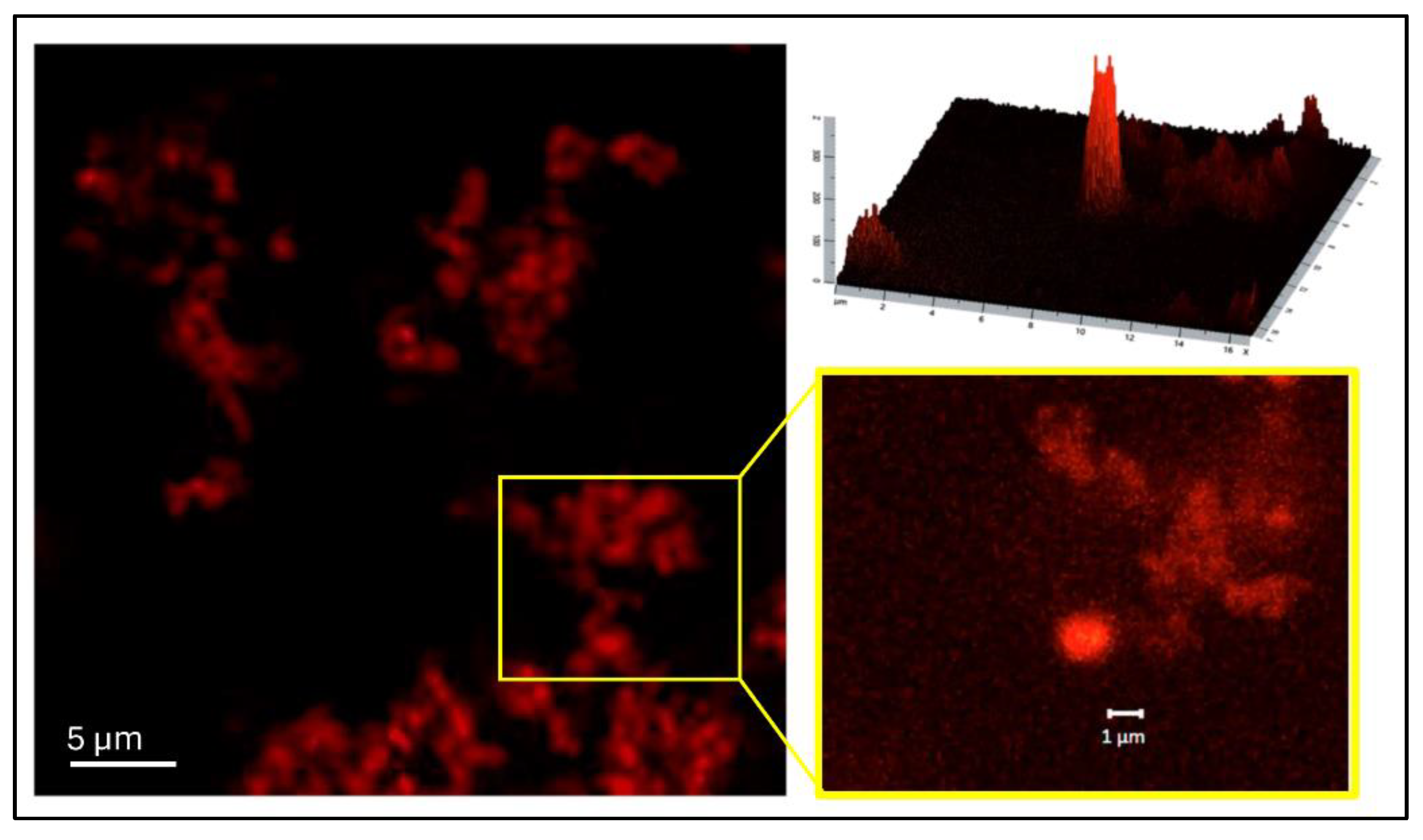 Preprints 108391 g004