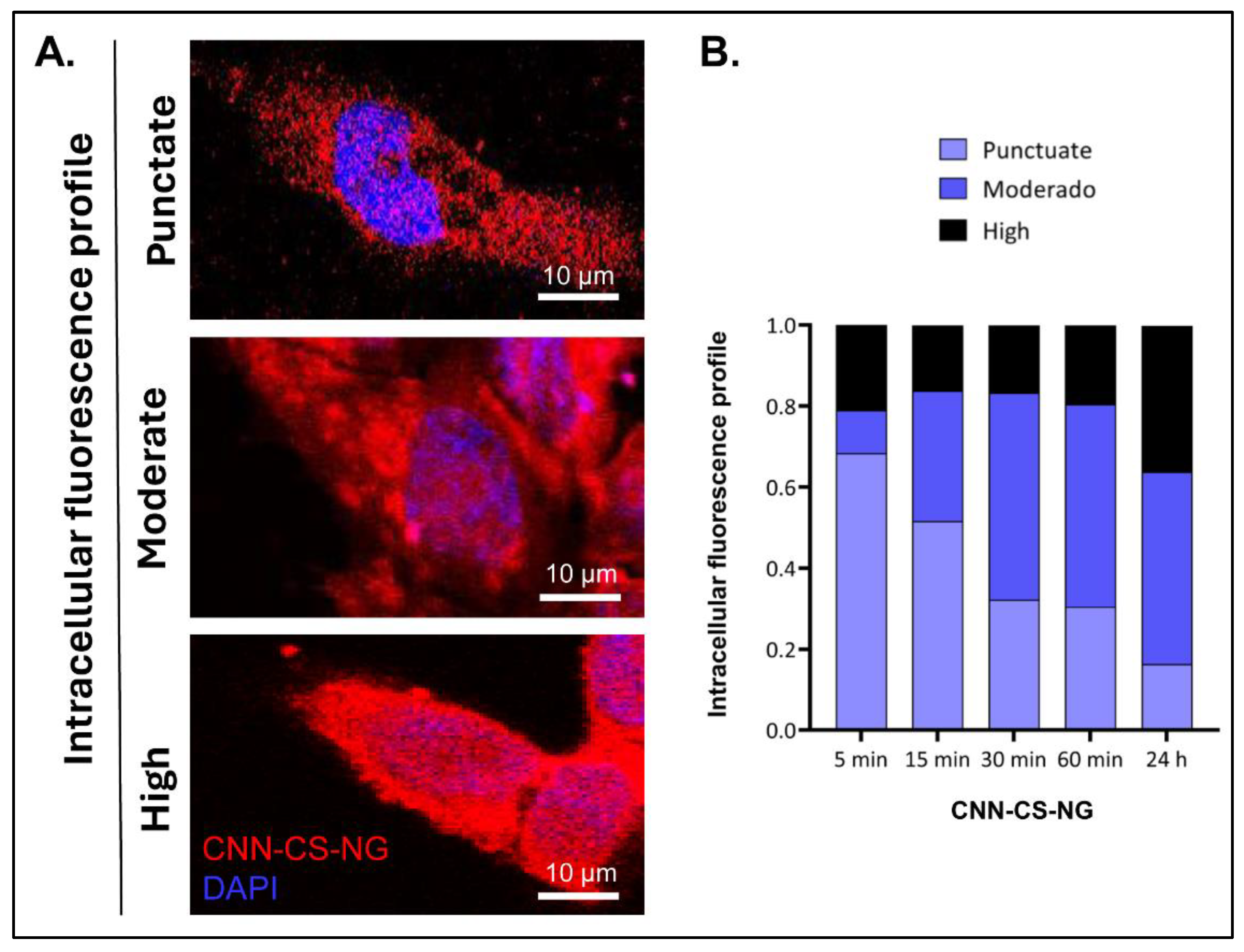 Preprints 108391 g008