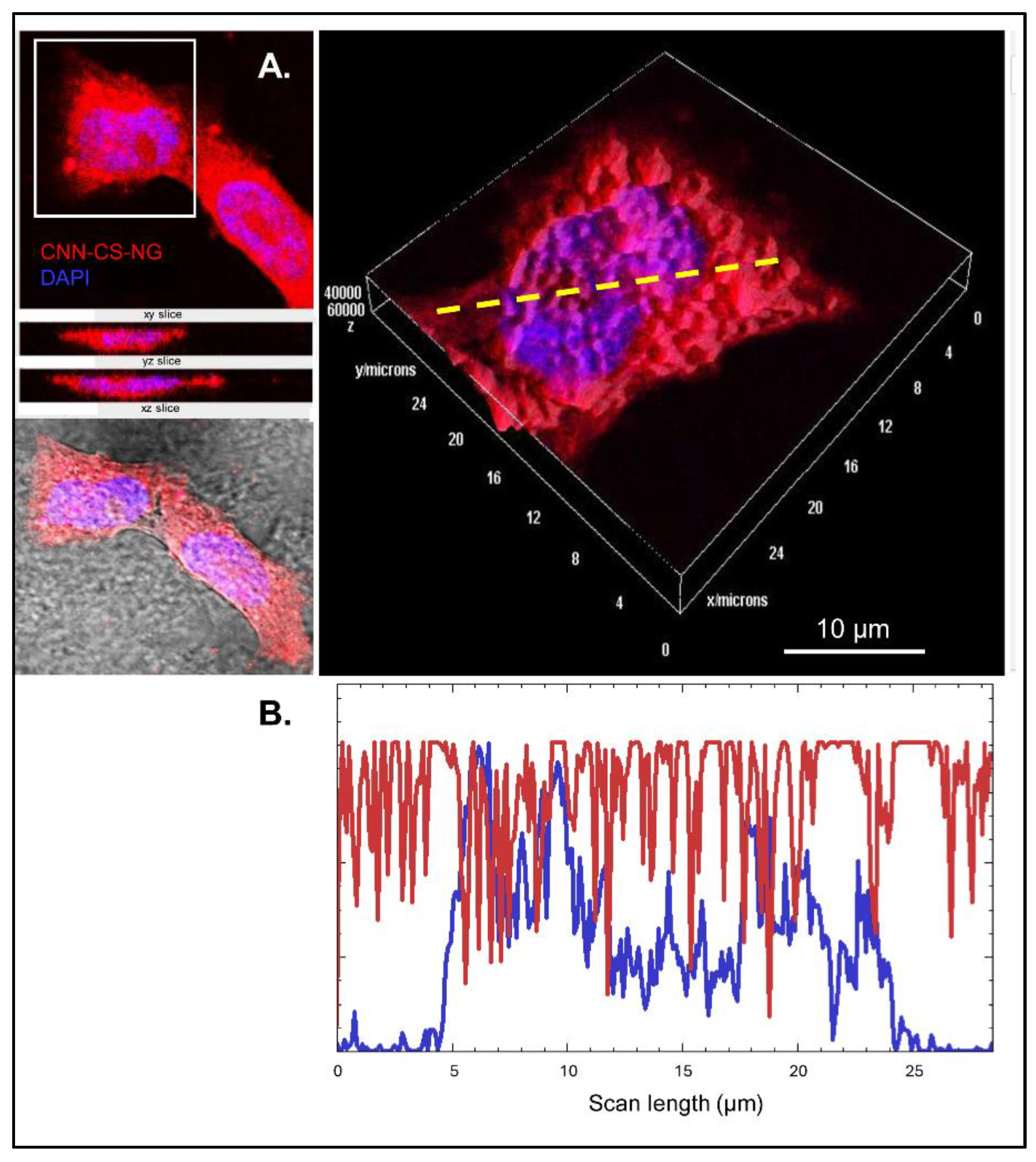 Preprints 108391 g009