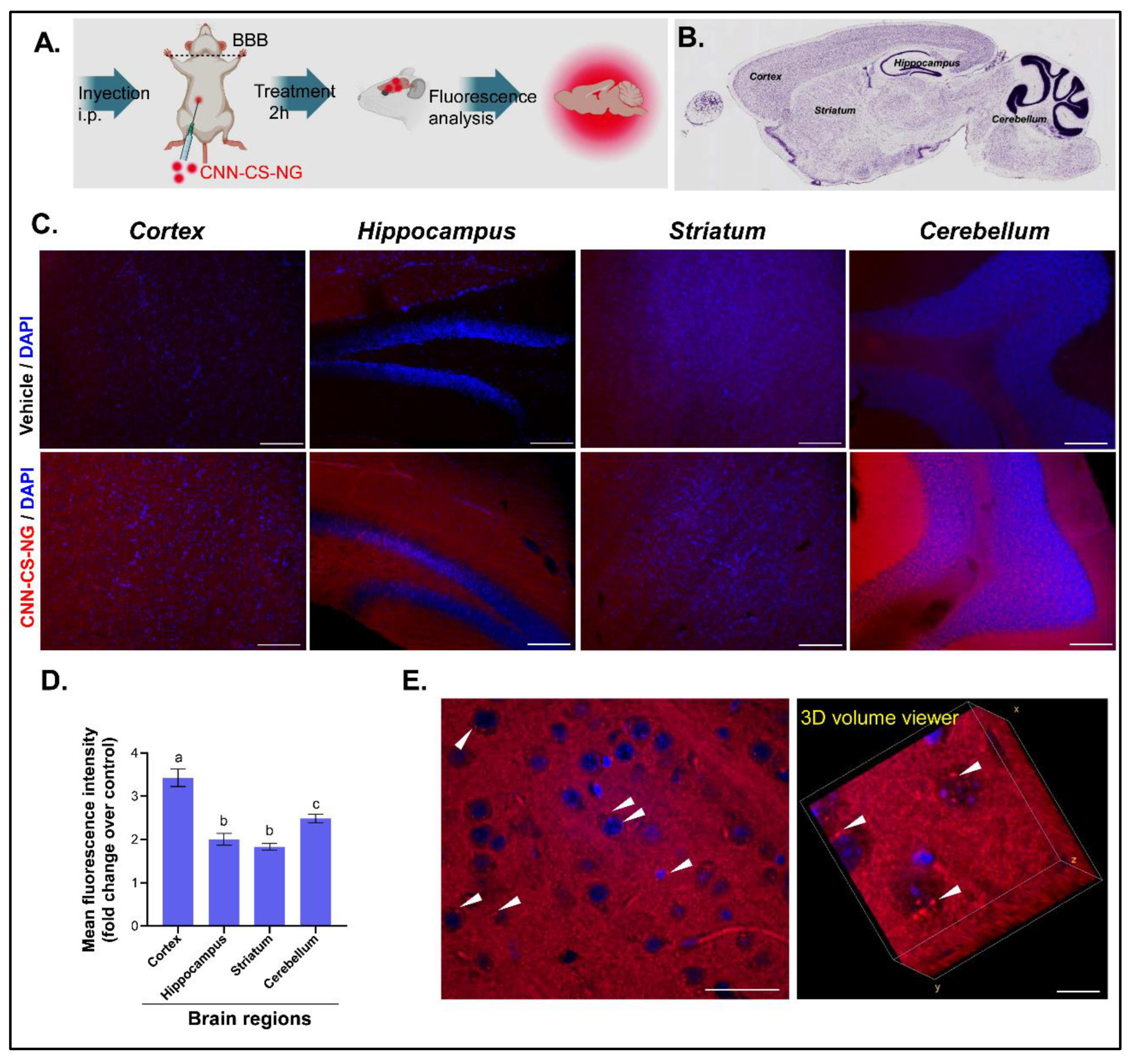 Preprints 108391 g010