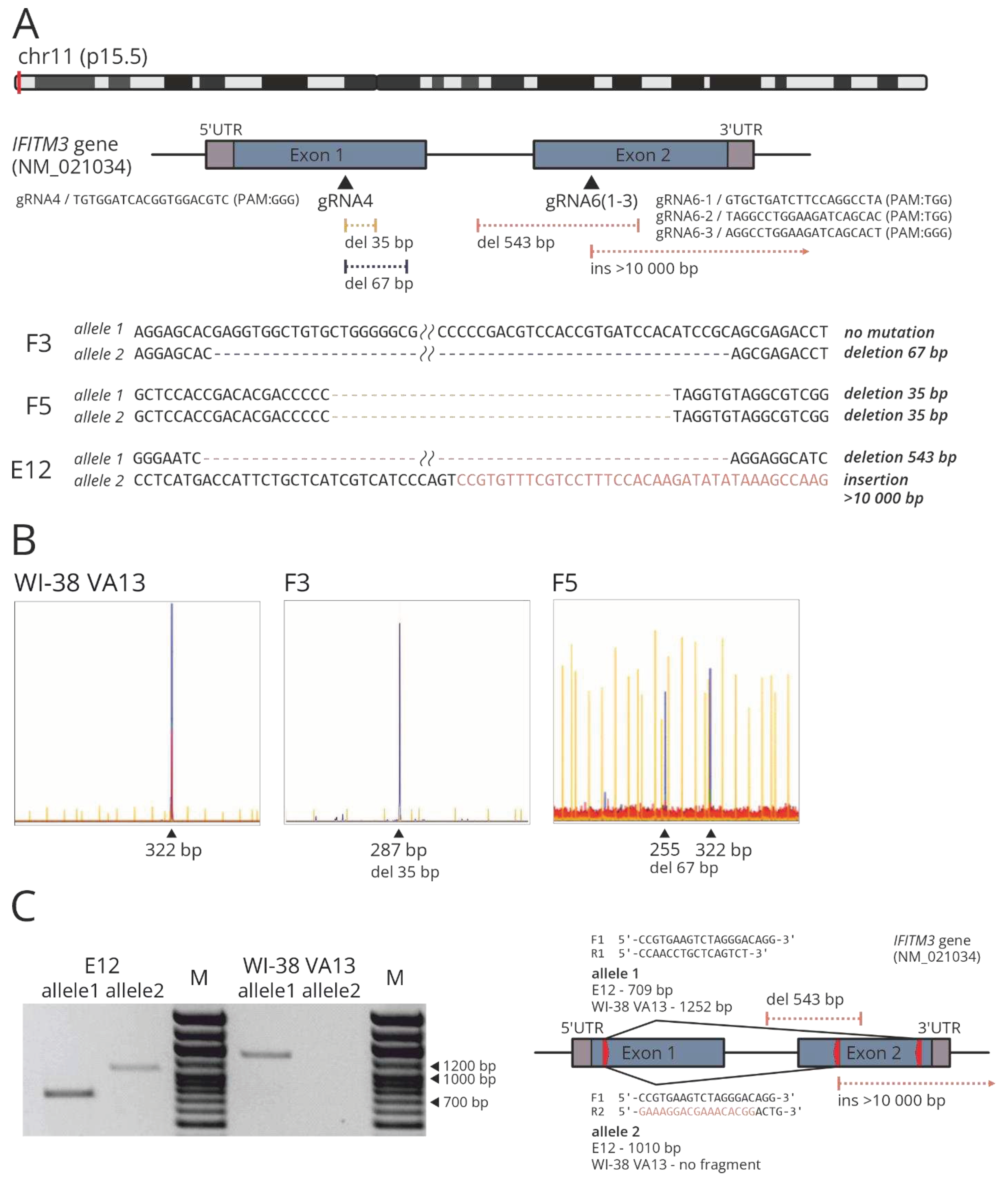 Preprints 92713 g002