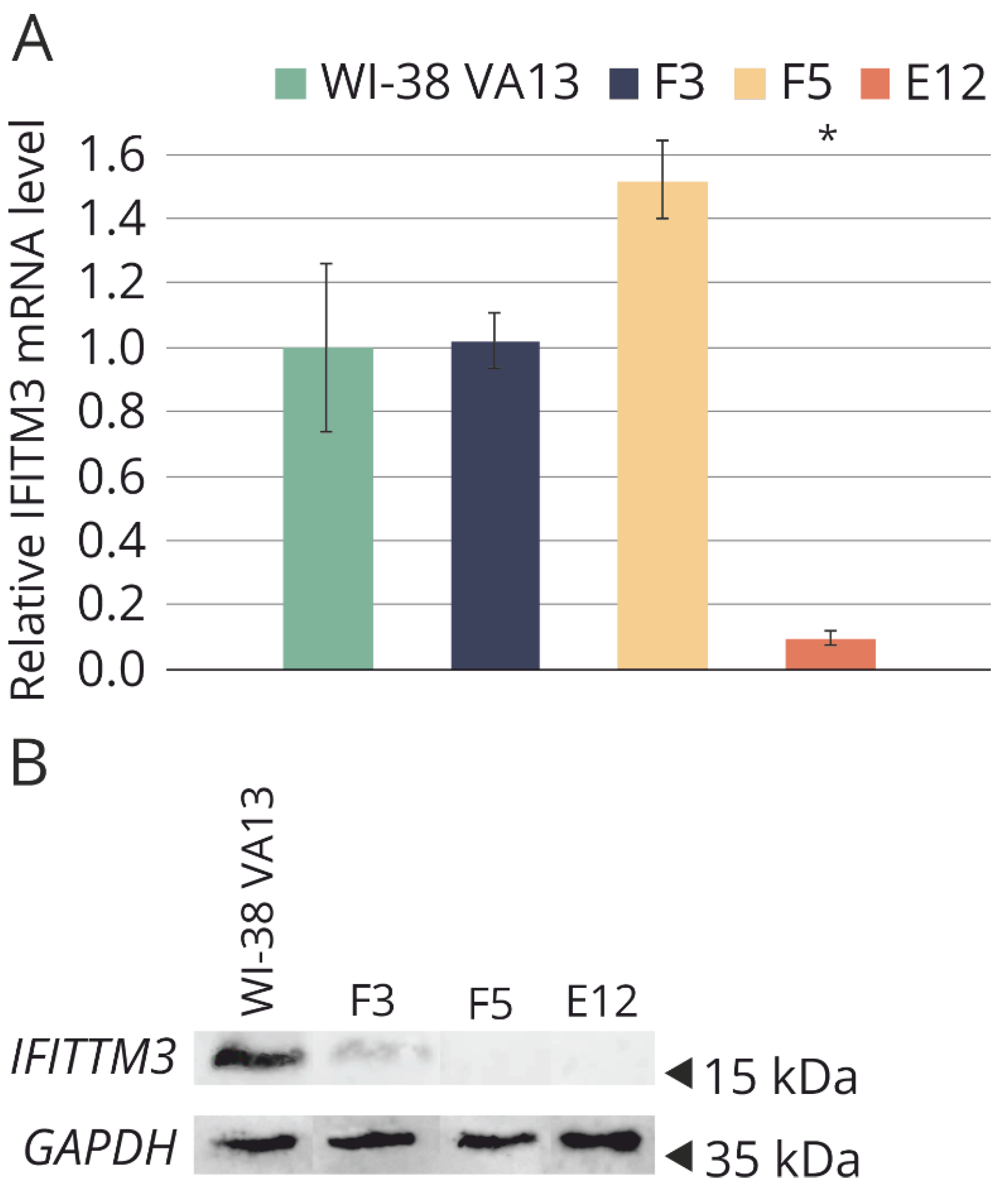 Preprints 92713 g004