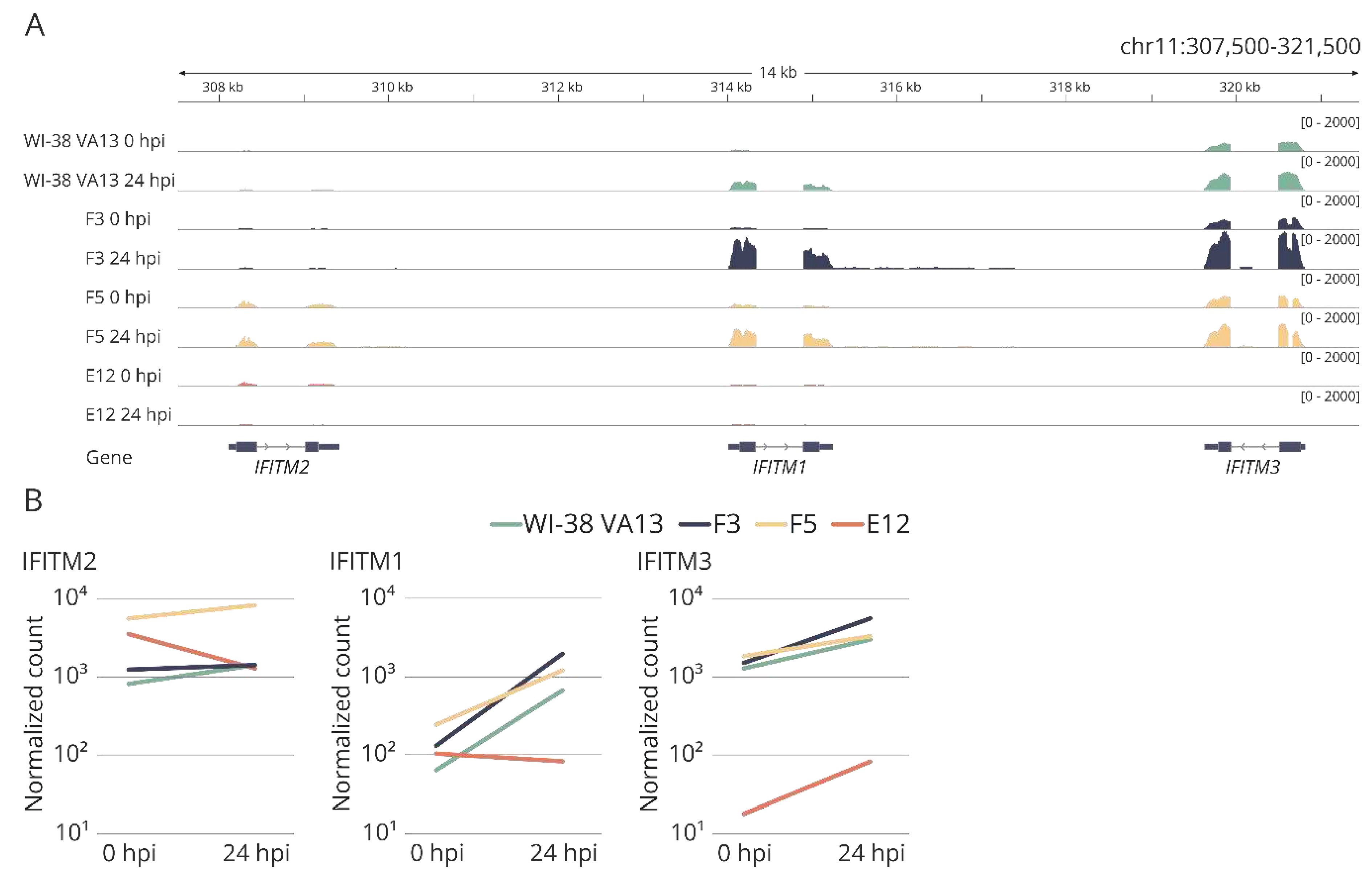 Preprints 92713 g005