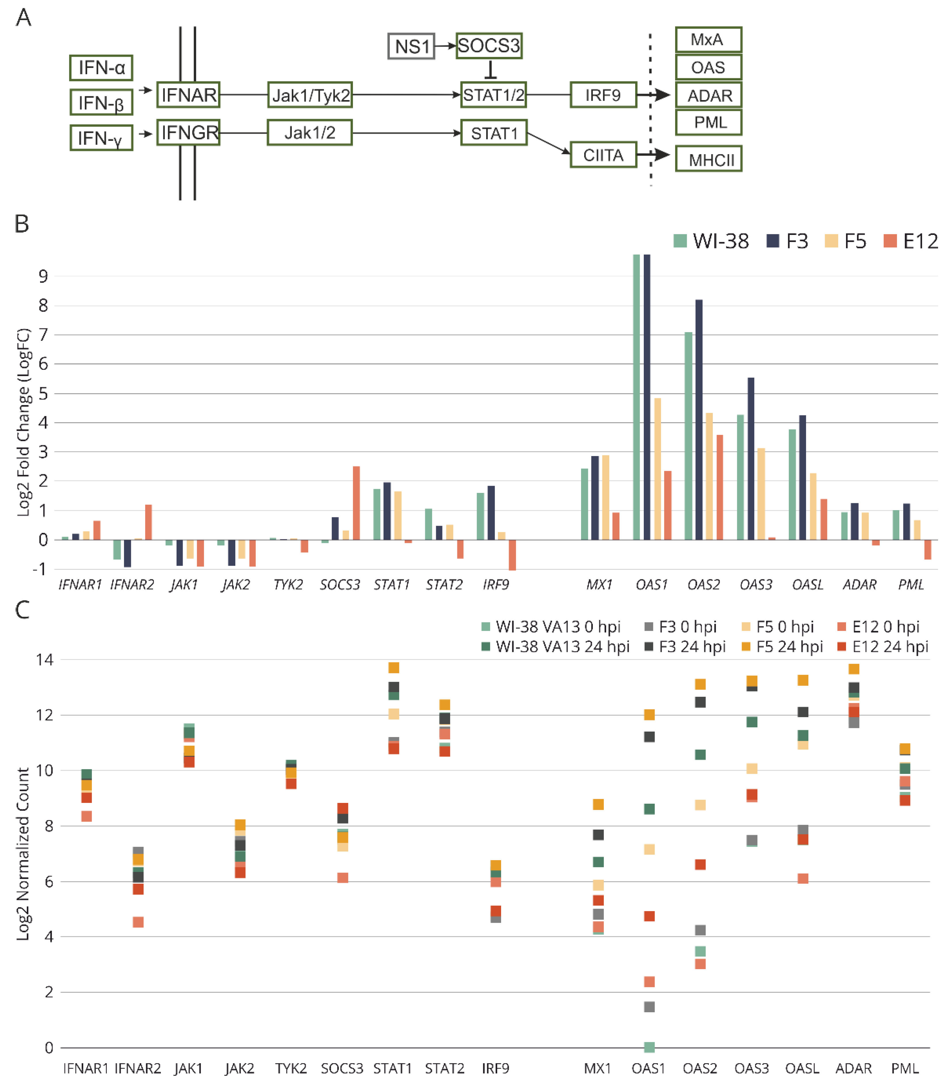 Preprints 92713 g008