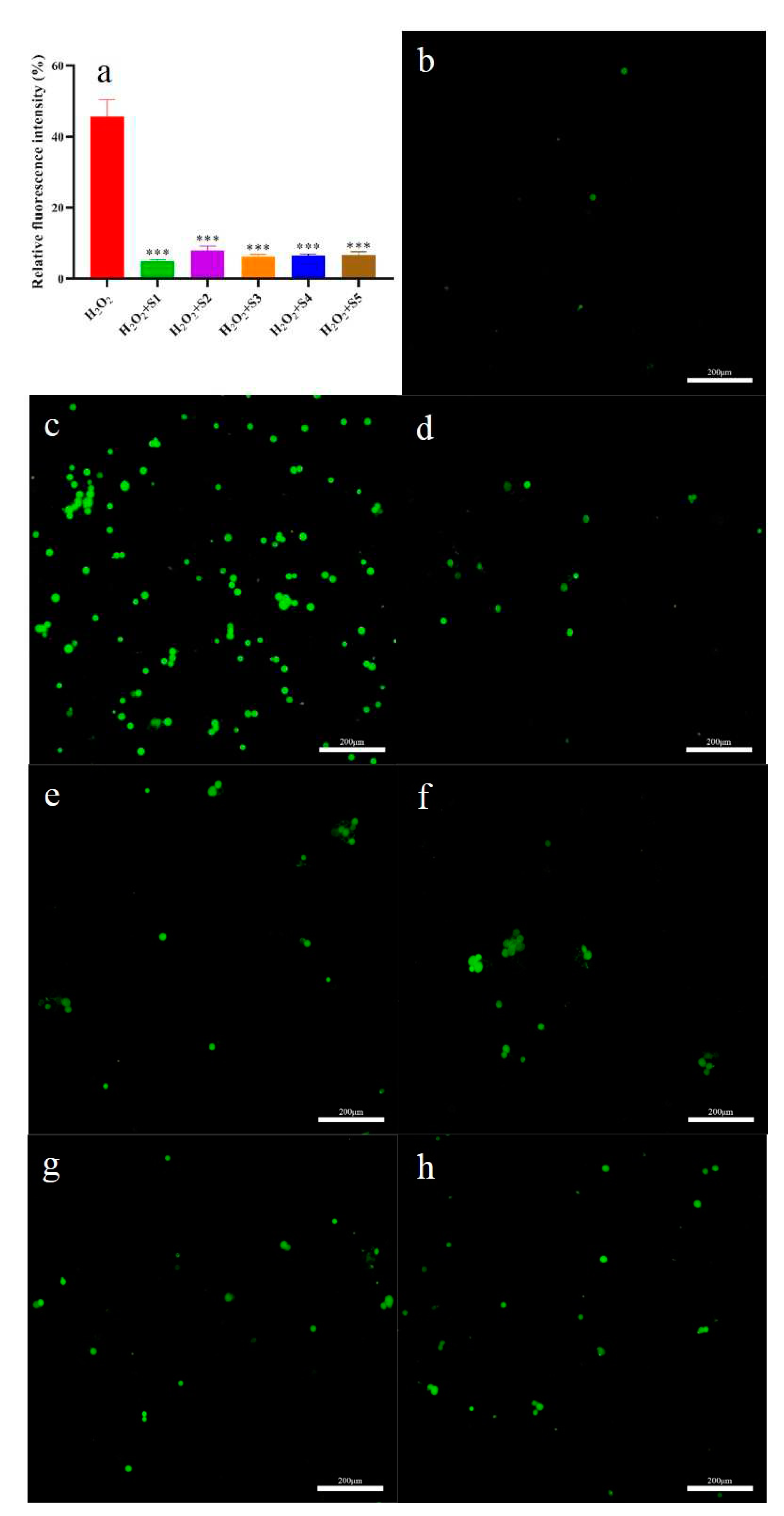 Preprints 87591 g006