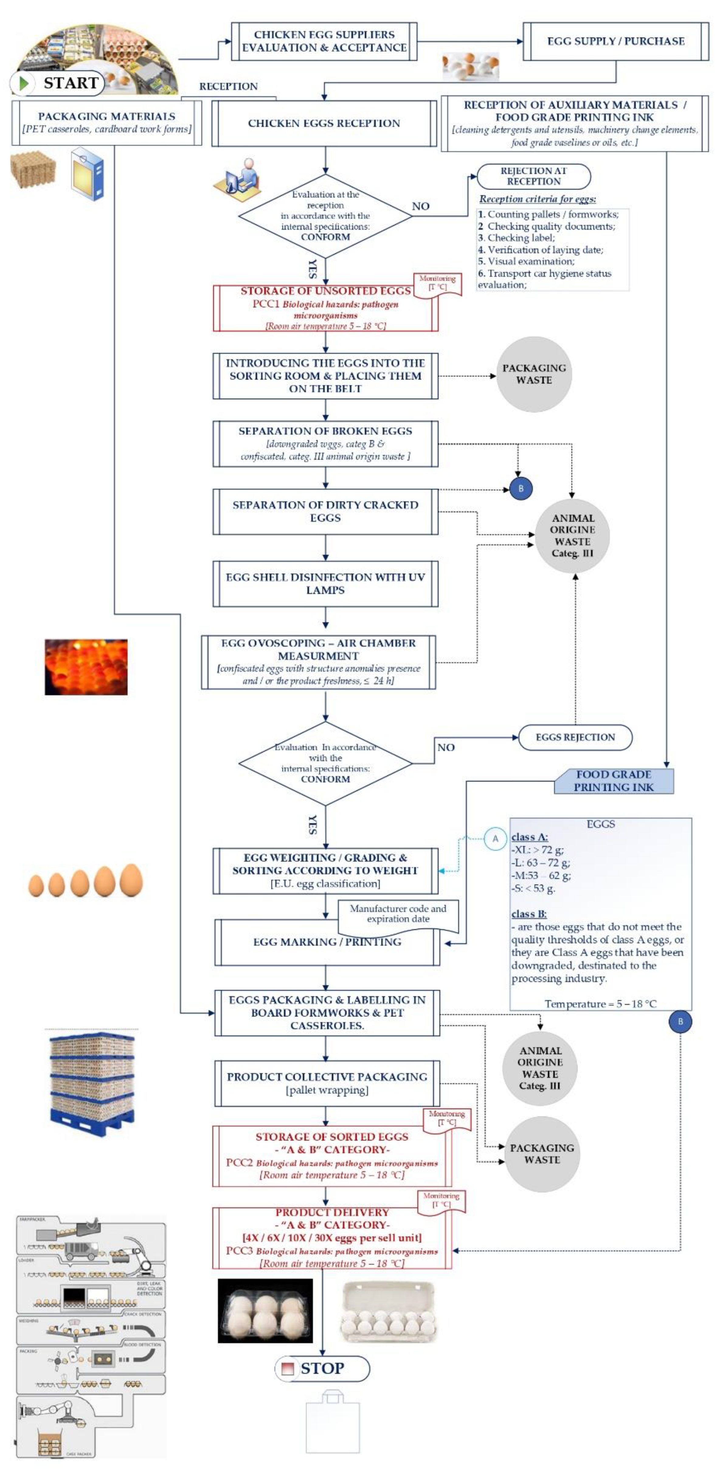 Preprints 95498 g002