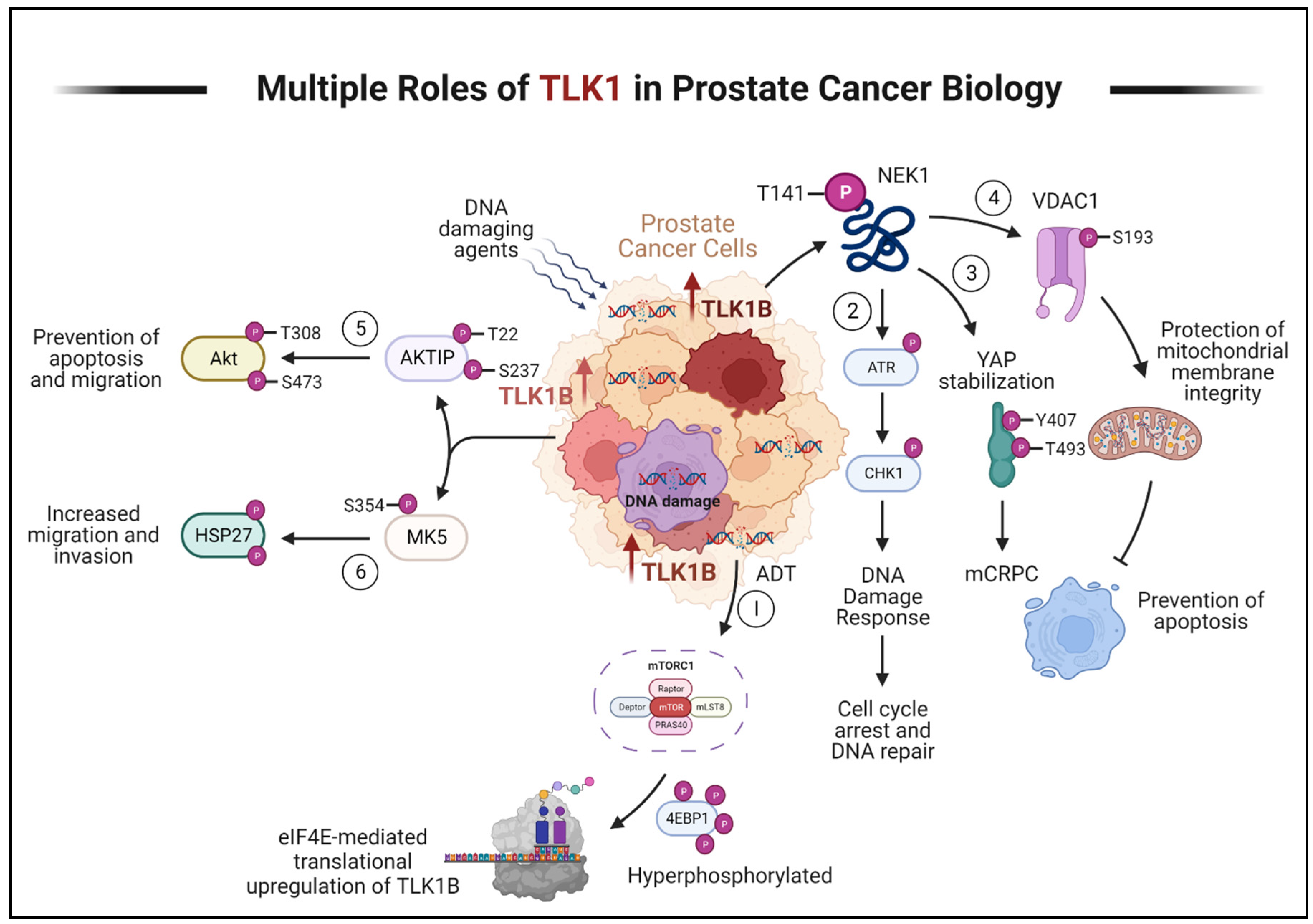 Preprints 77198 g002