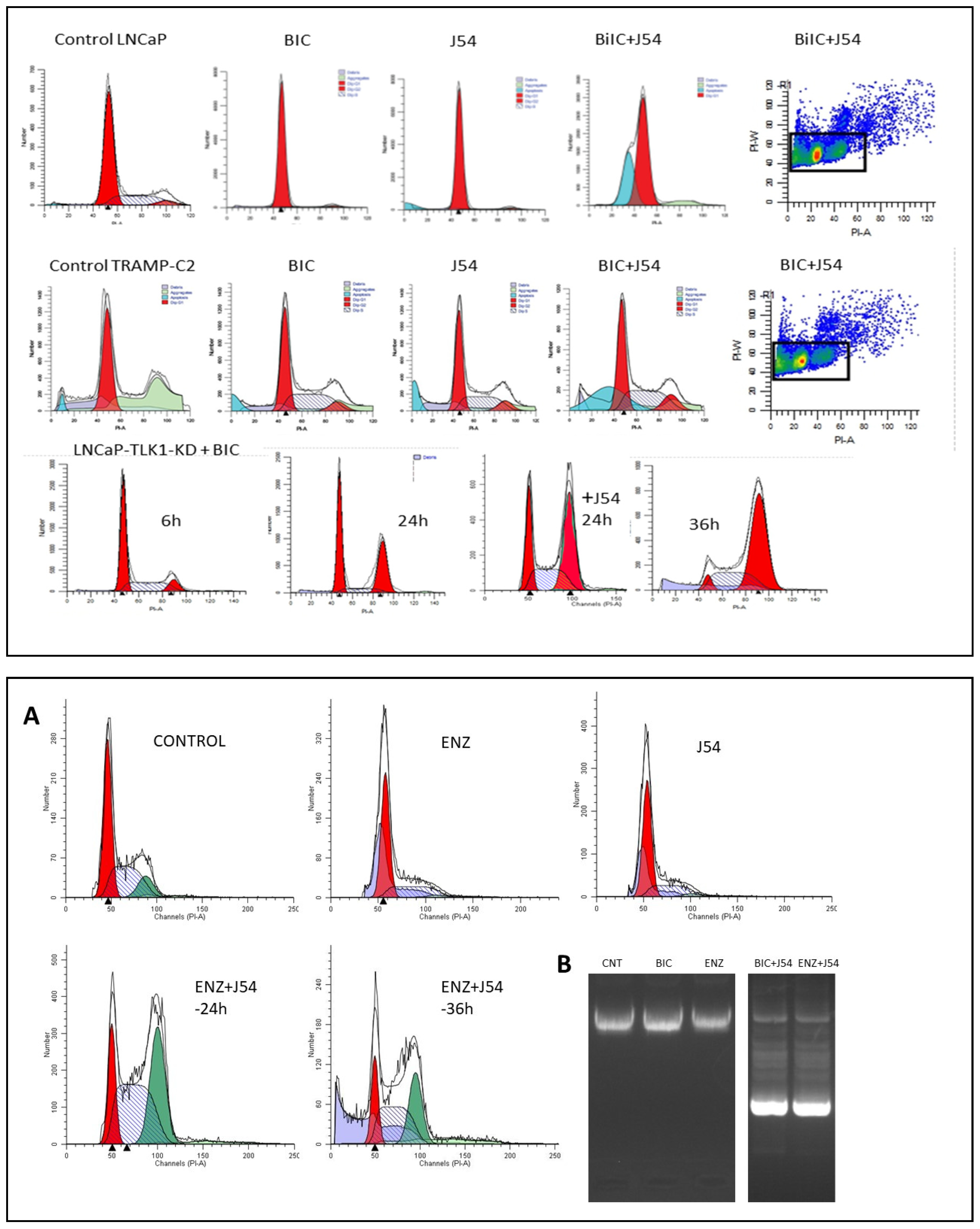 Preprints 77198 g003