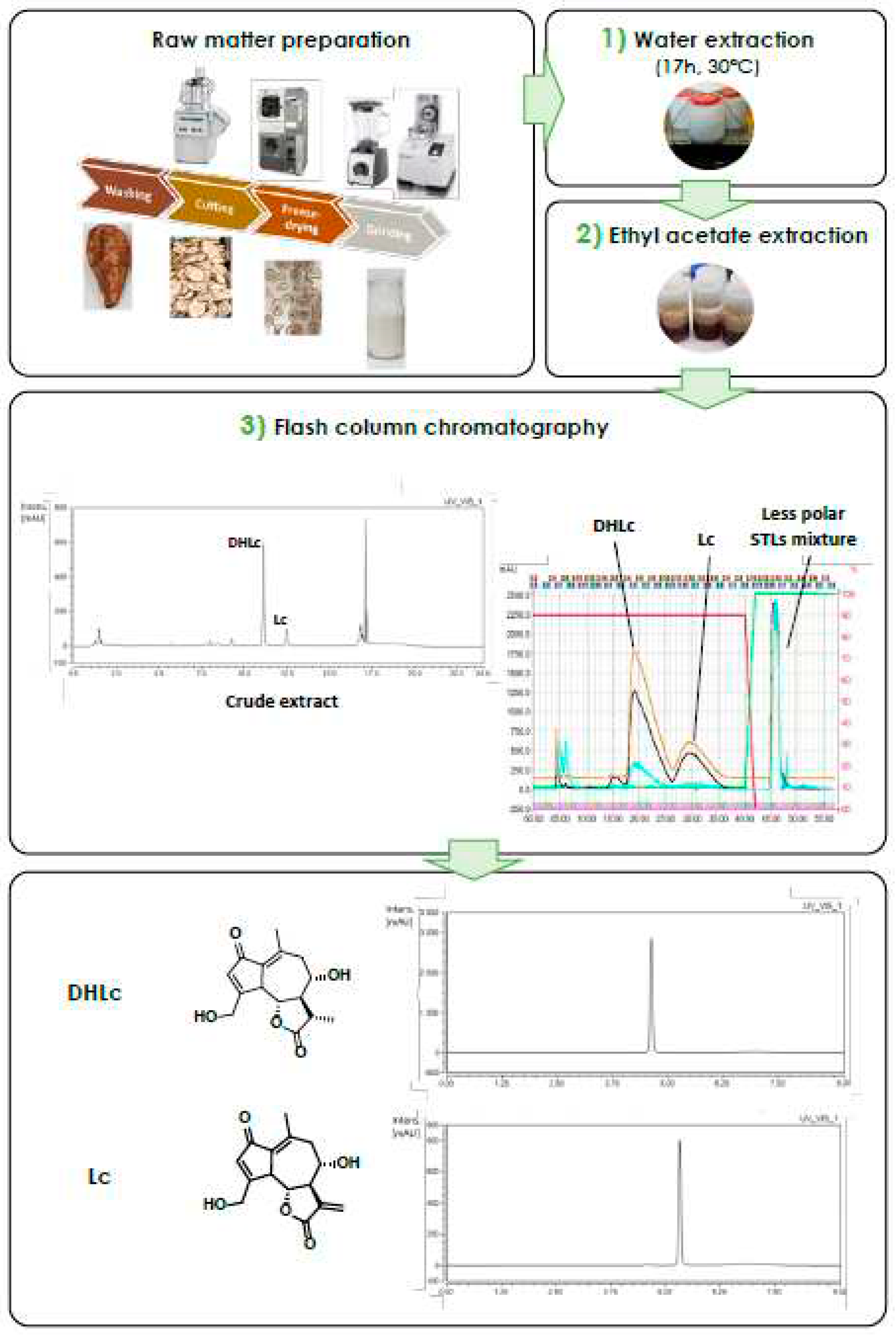 Preprints 70368 g001