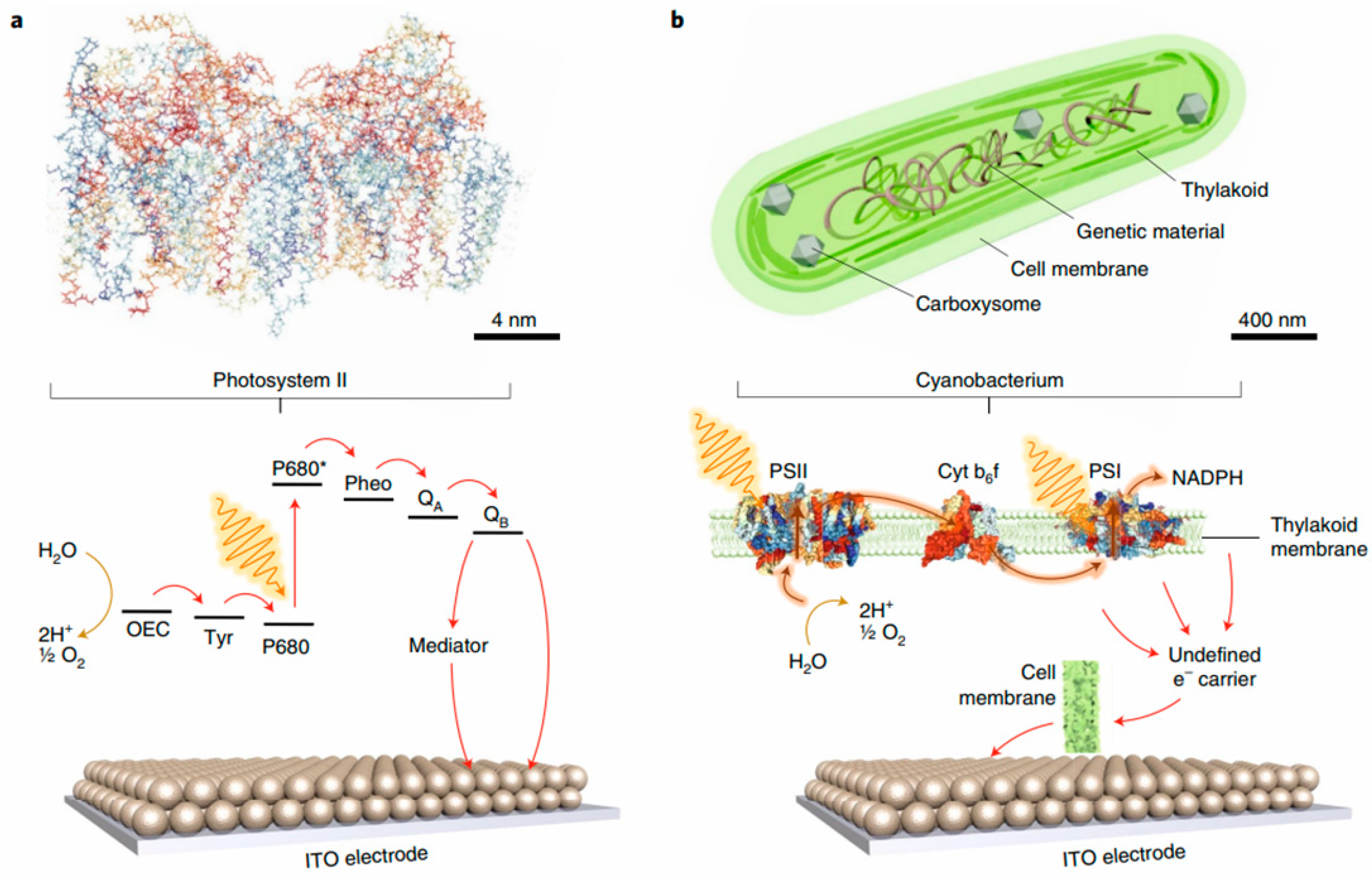 Preprints 87685 g020