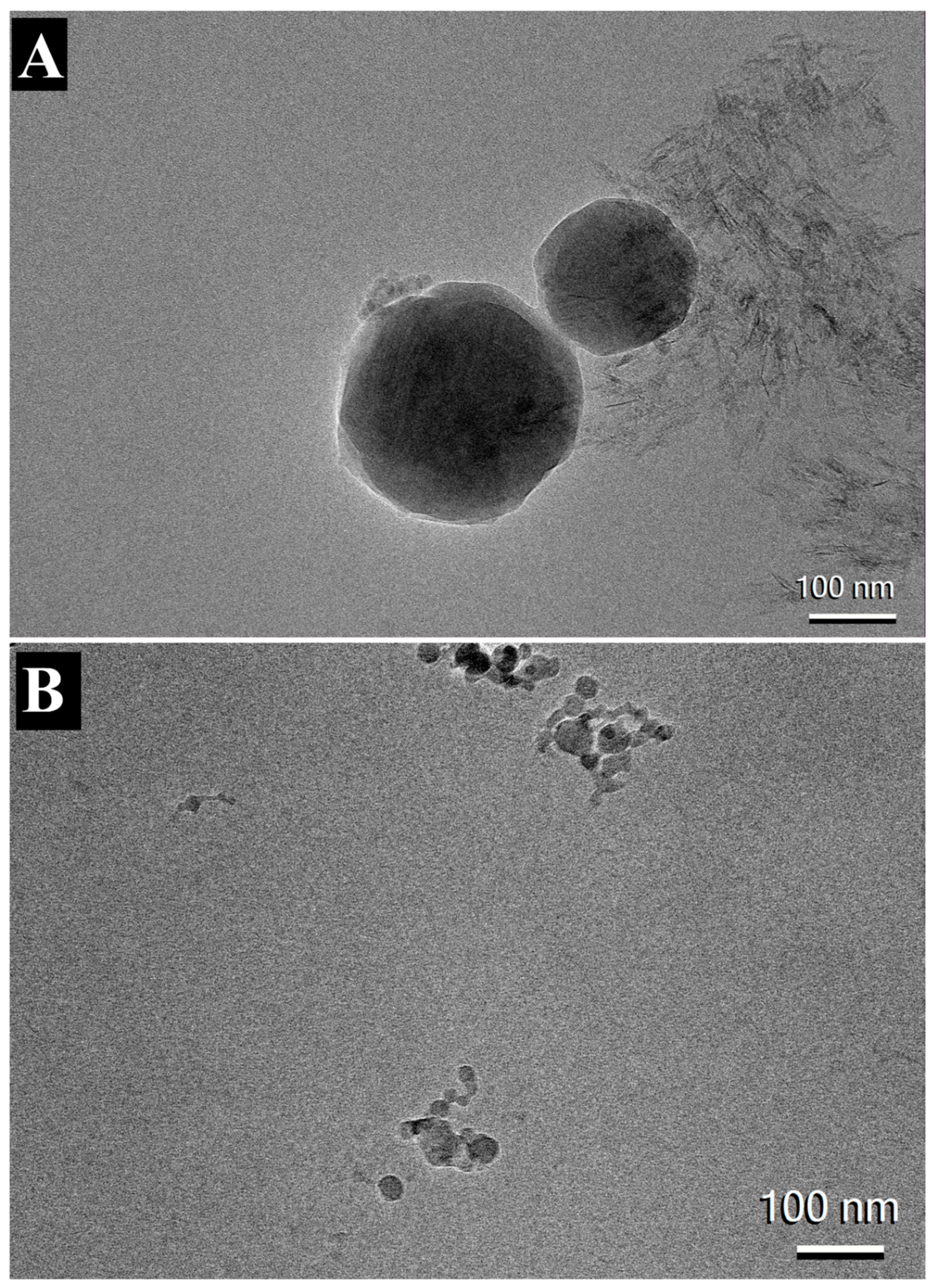 Preprints 90838 g006