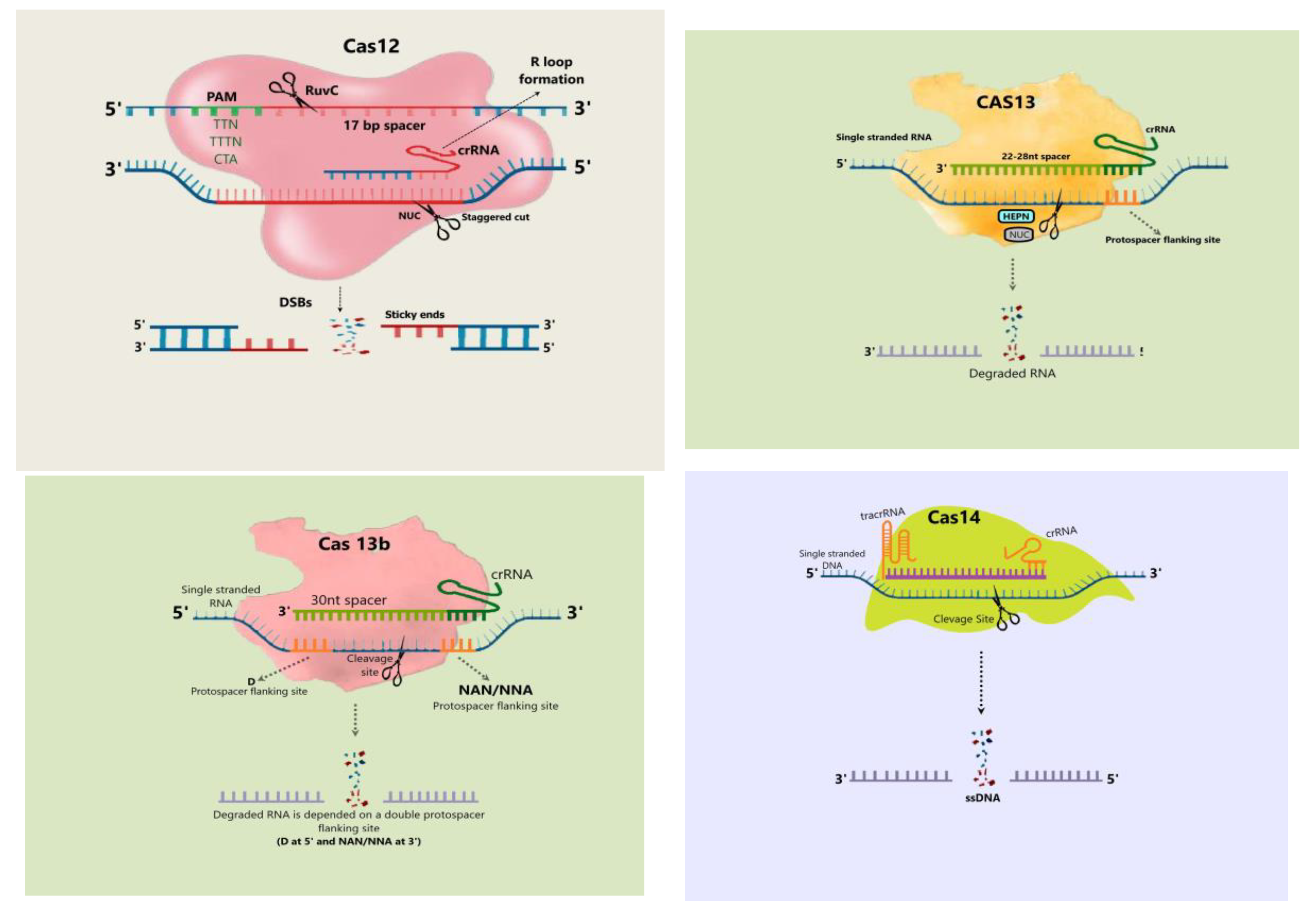 Preprints 108522 g003