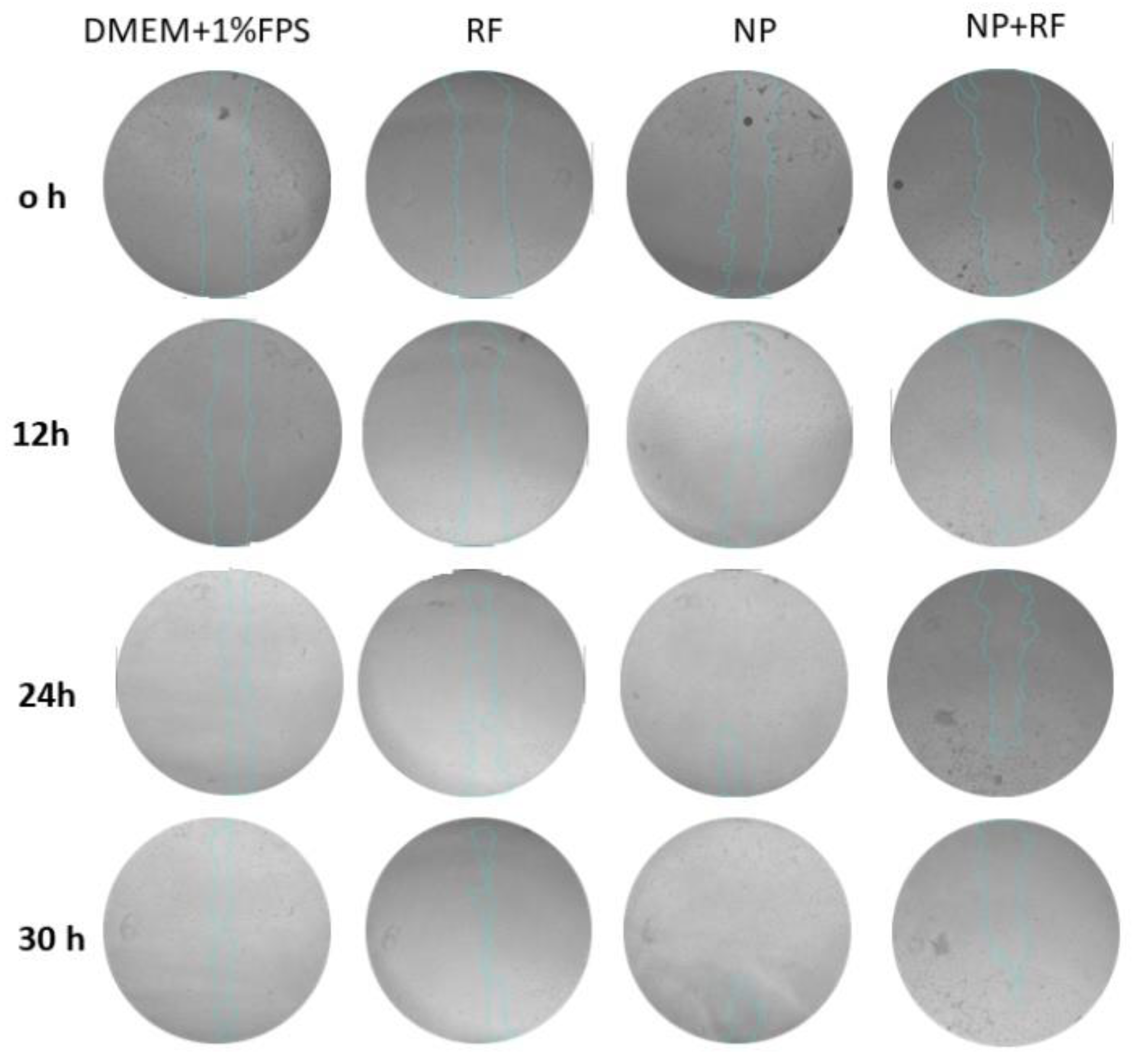 Preprints 118449 g007