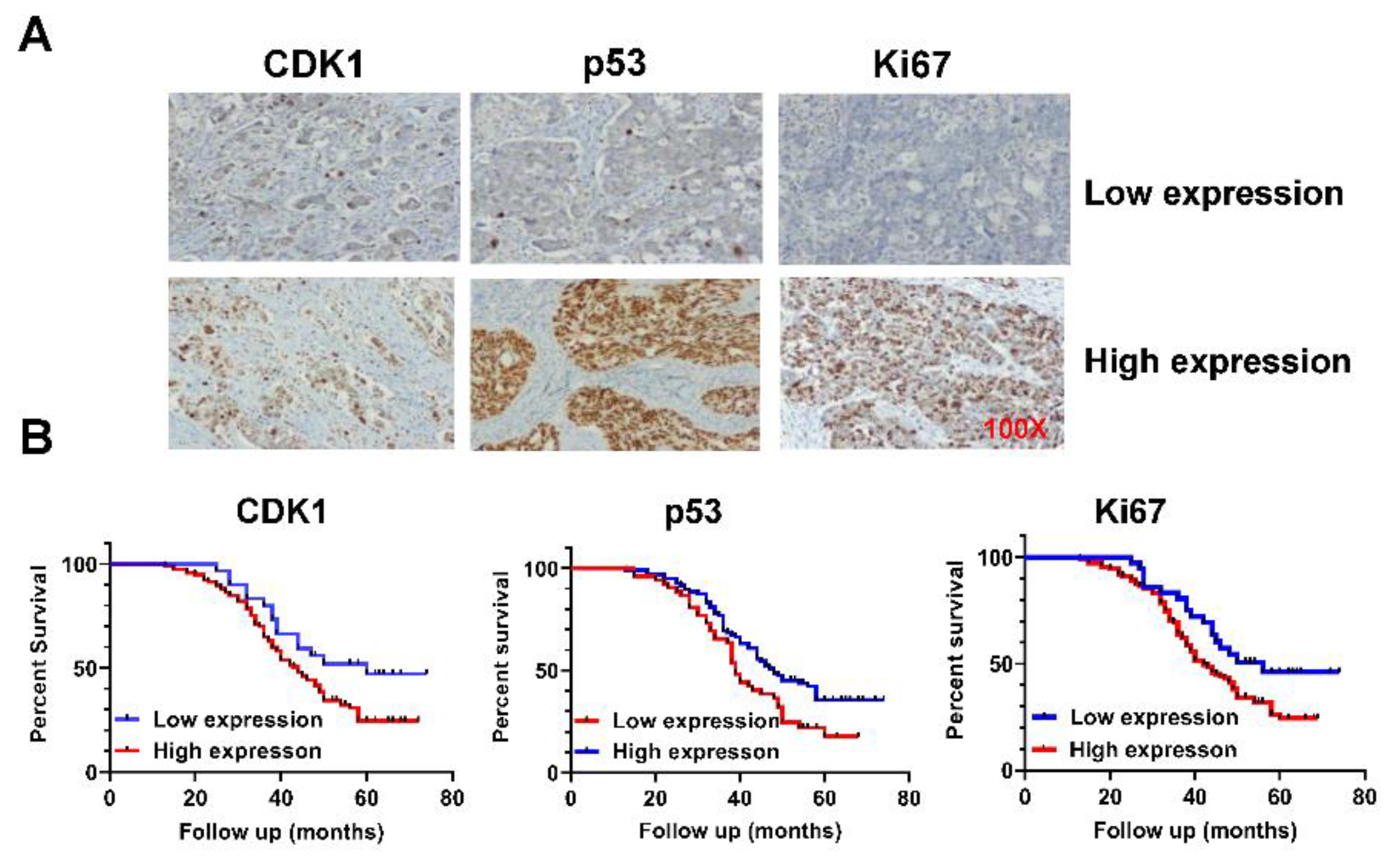 Preprints 77826 g001