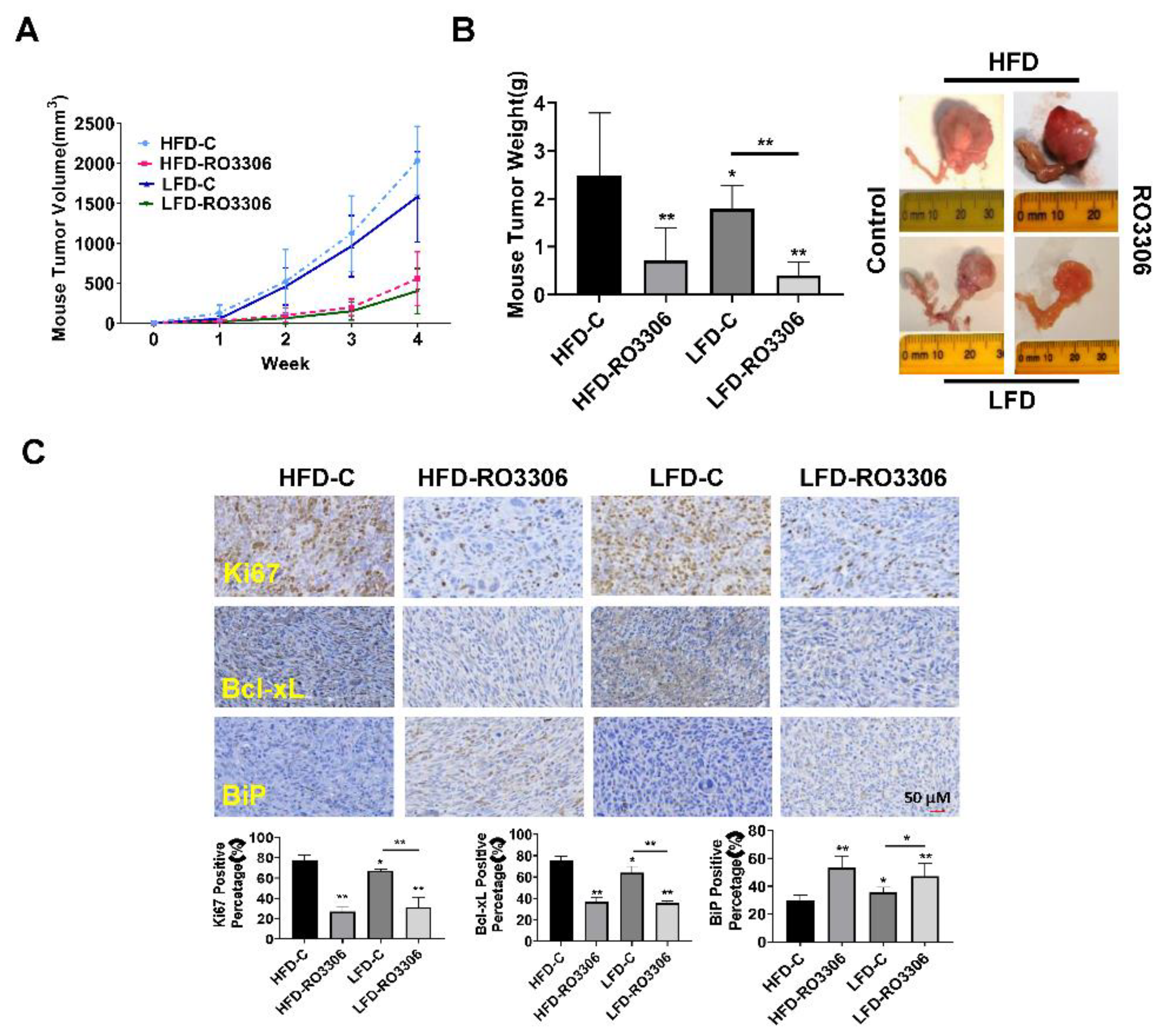 Preprints 77826 g006