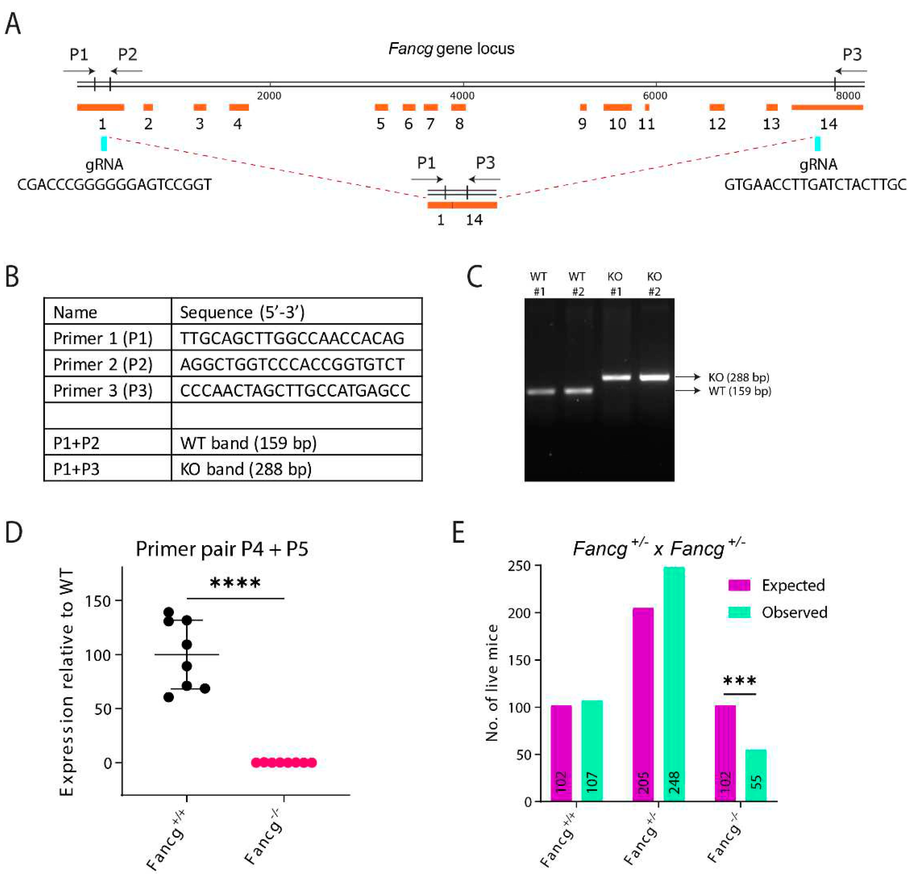 Preprints 76769 g001