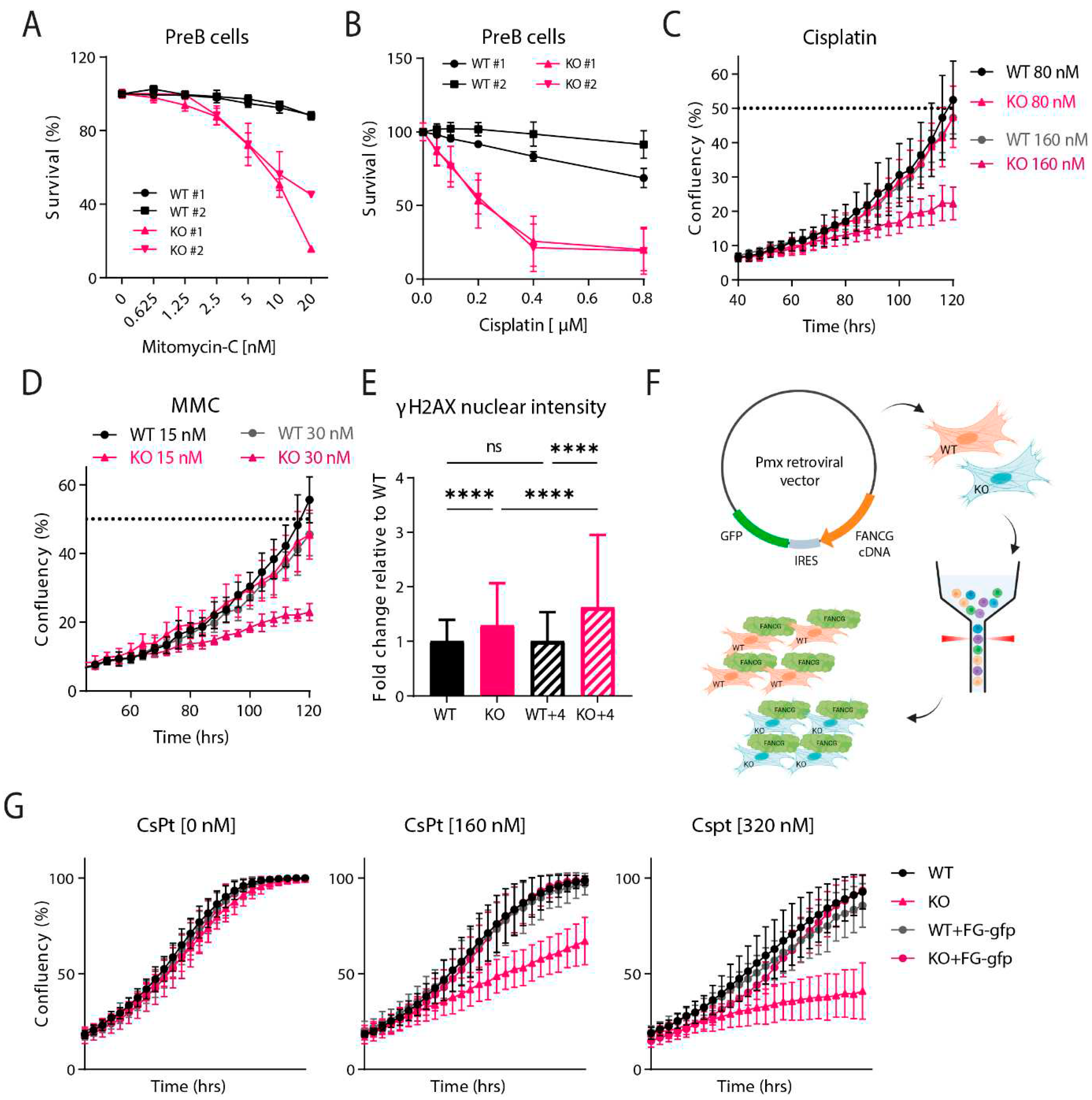 Preprints 76769 g003