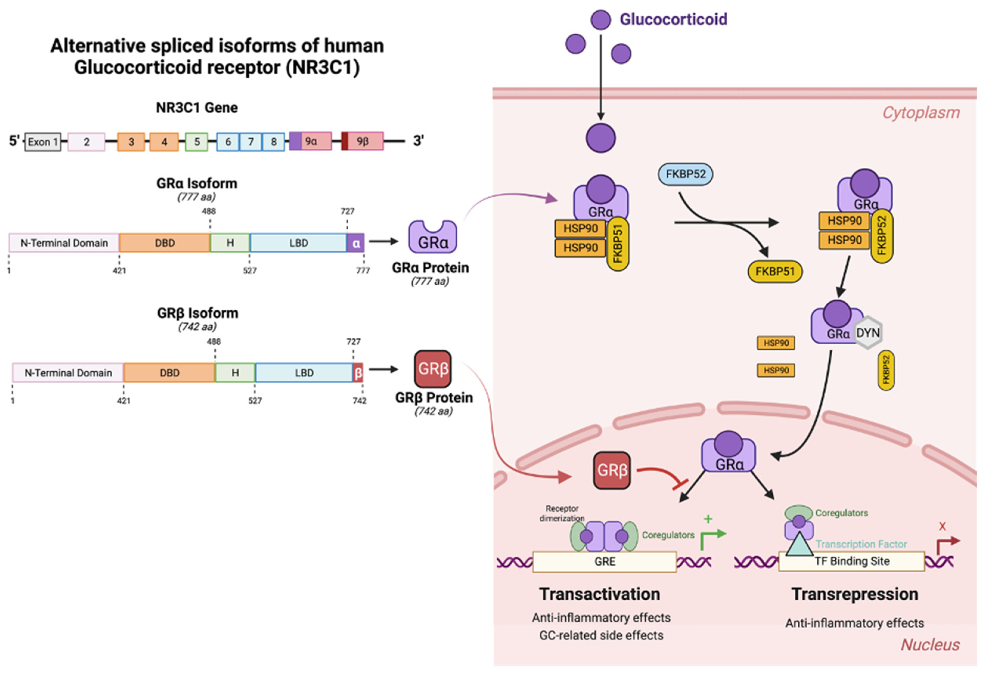 Preprints 84229 g004