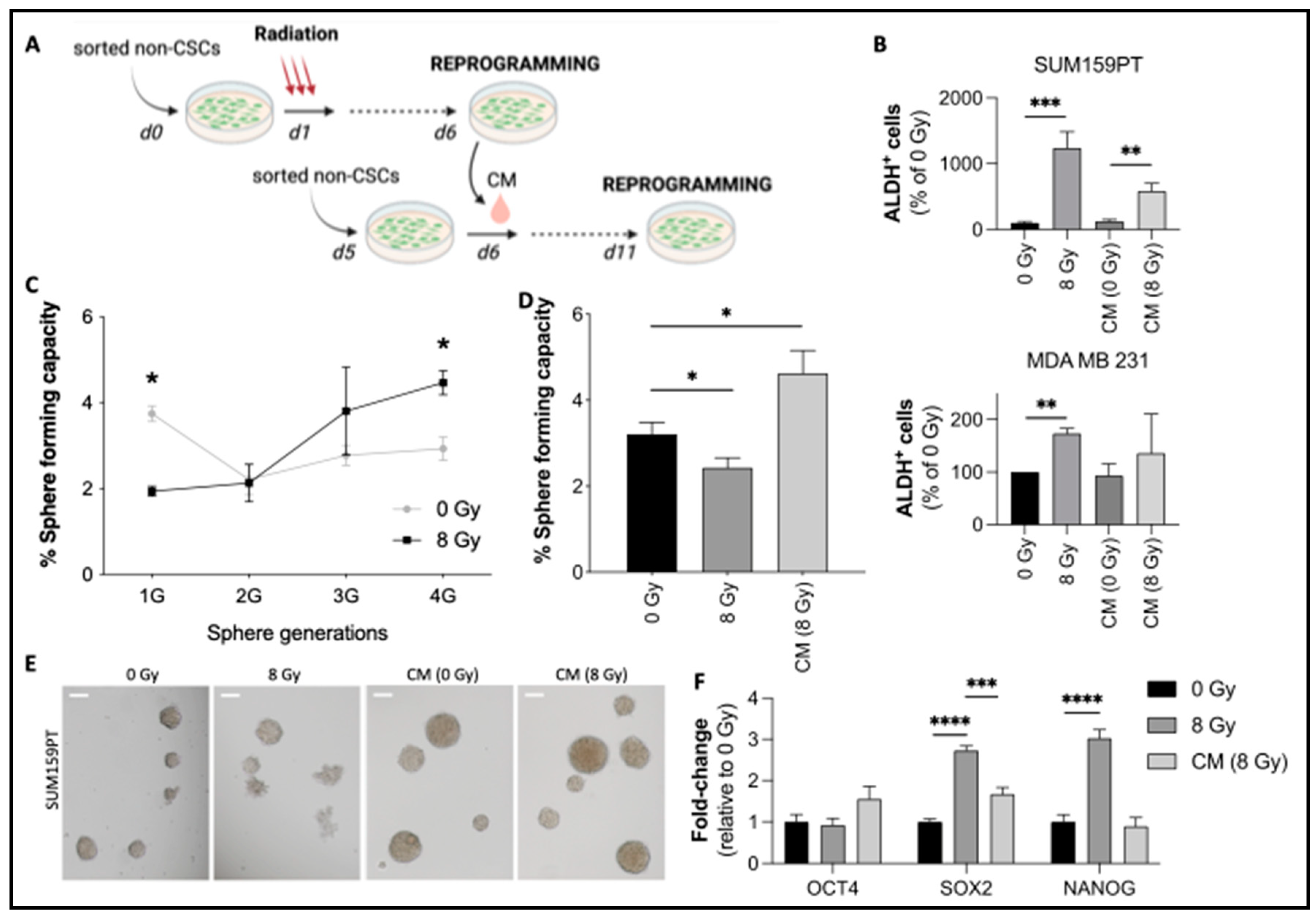 Preprints 98374 g001