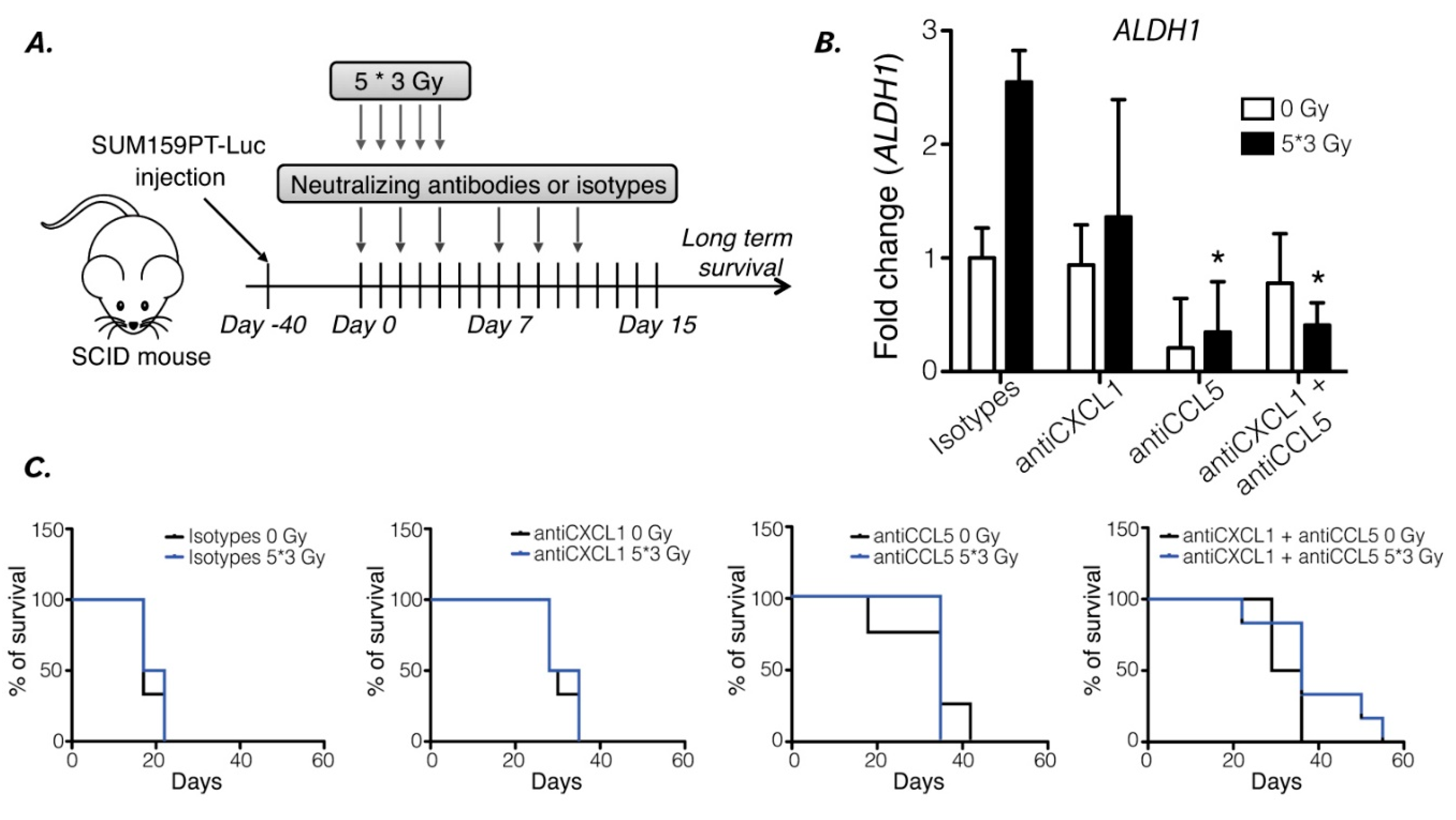 Preprints 98374 g005