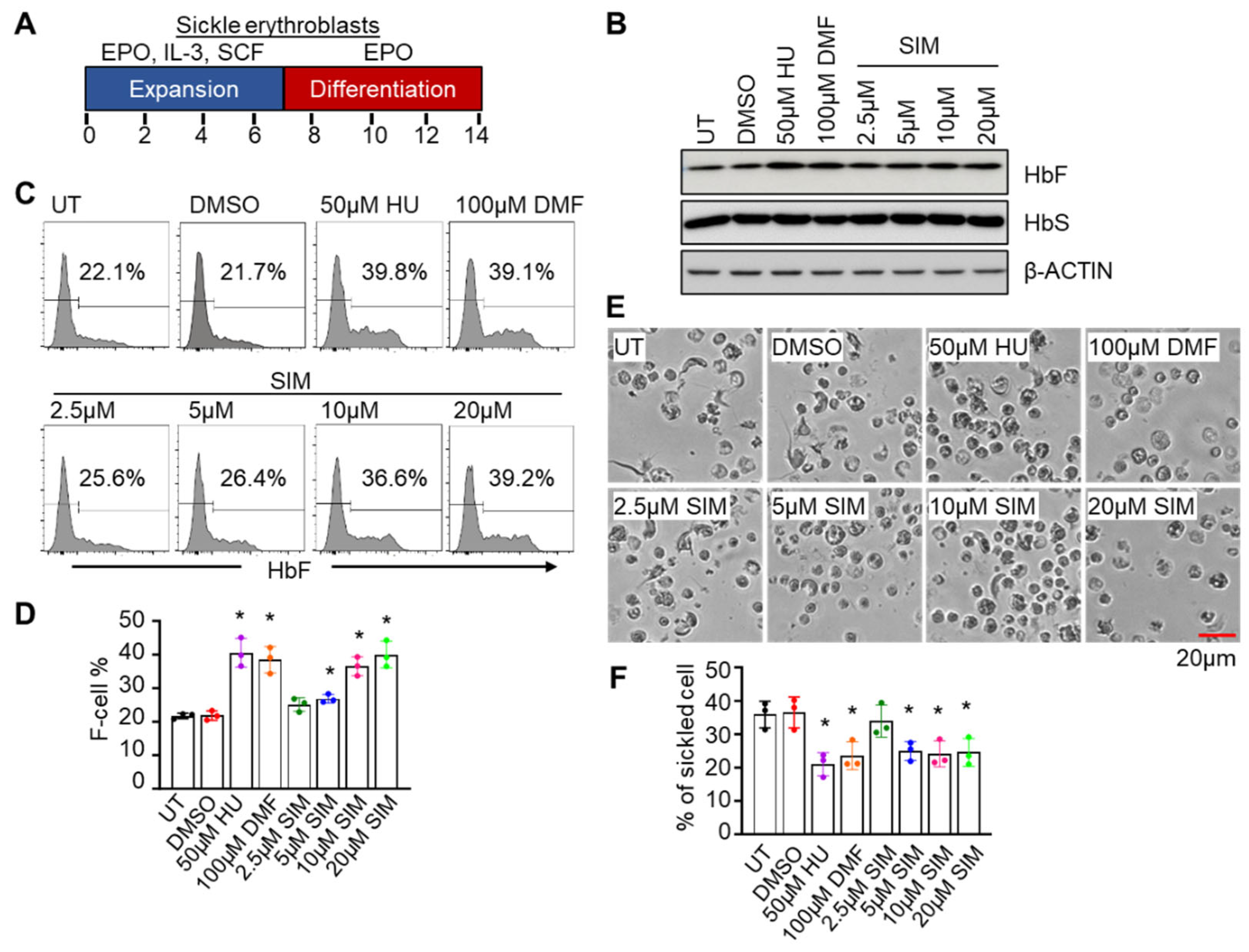 Preprints 97923 g001