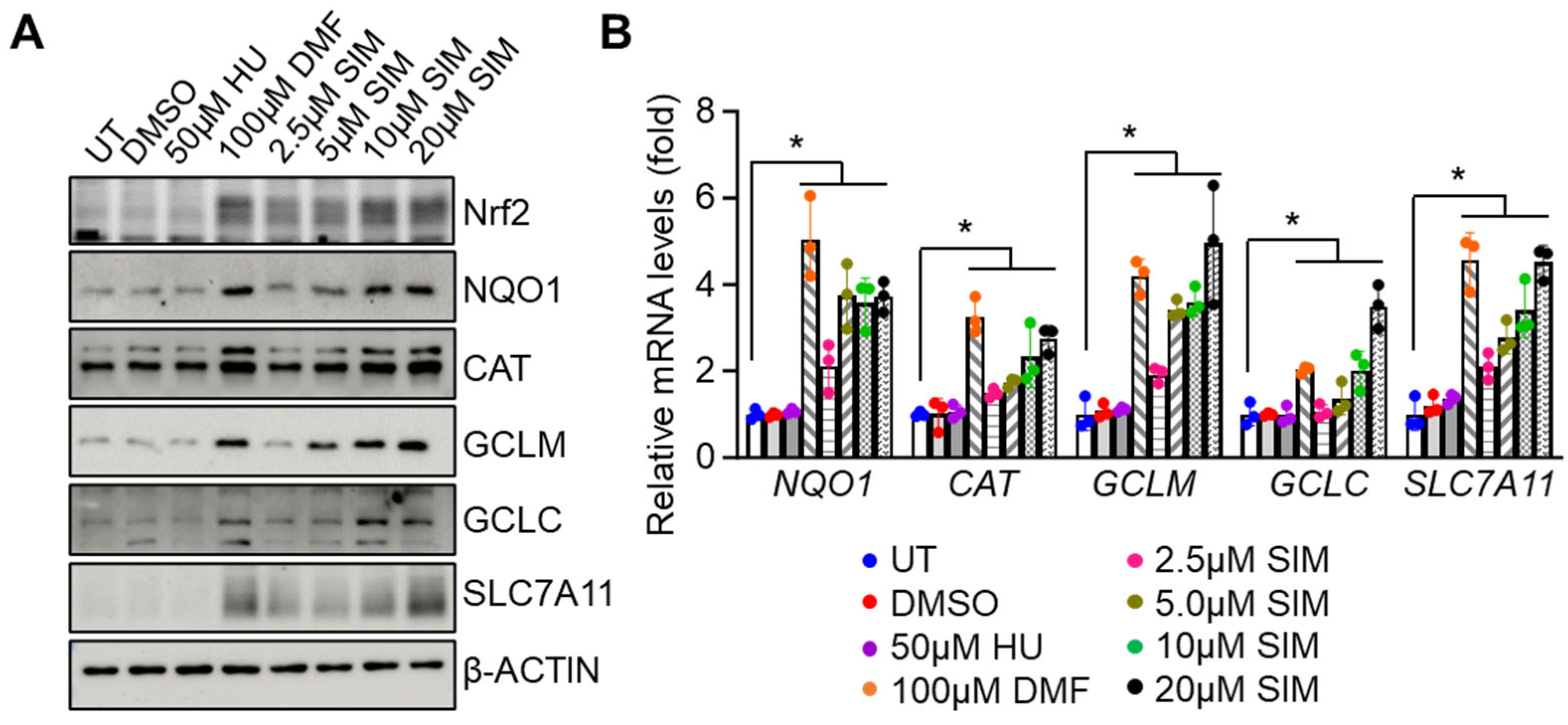 Preprints 97923 g002