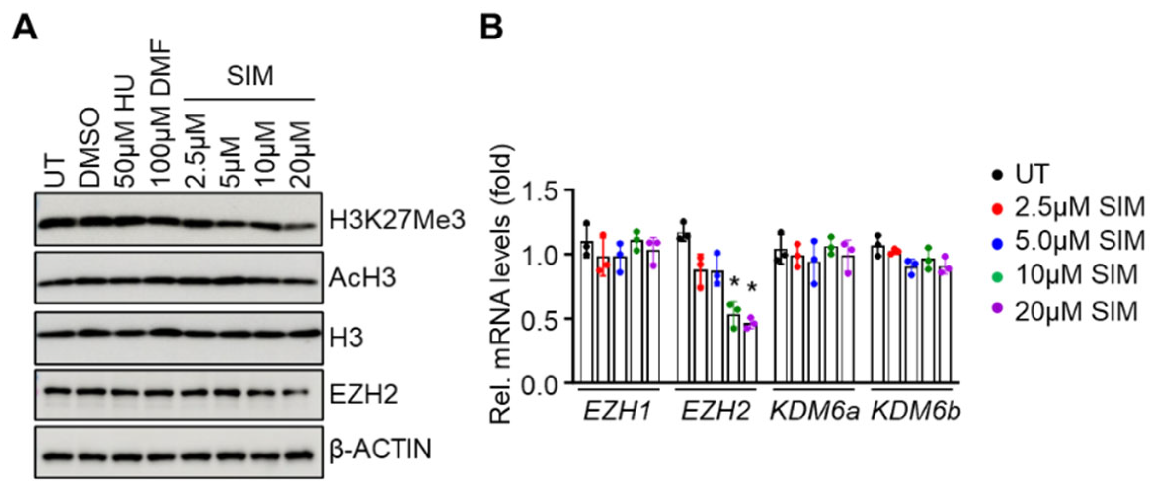 Preprints 97923 g004