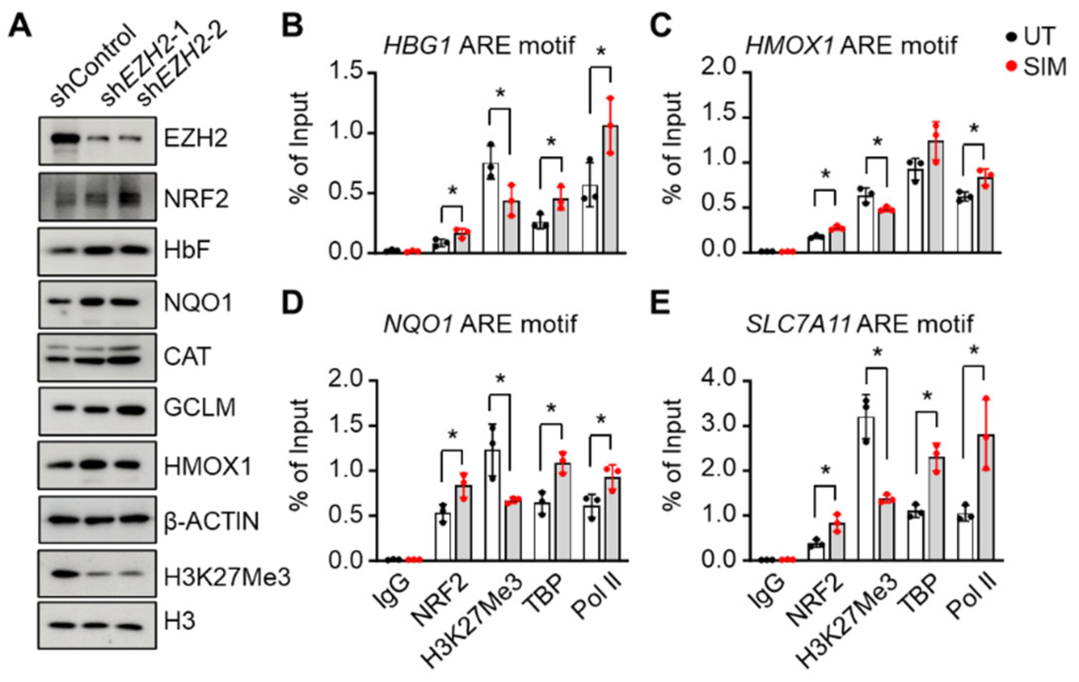 Preprints 97923 g005