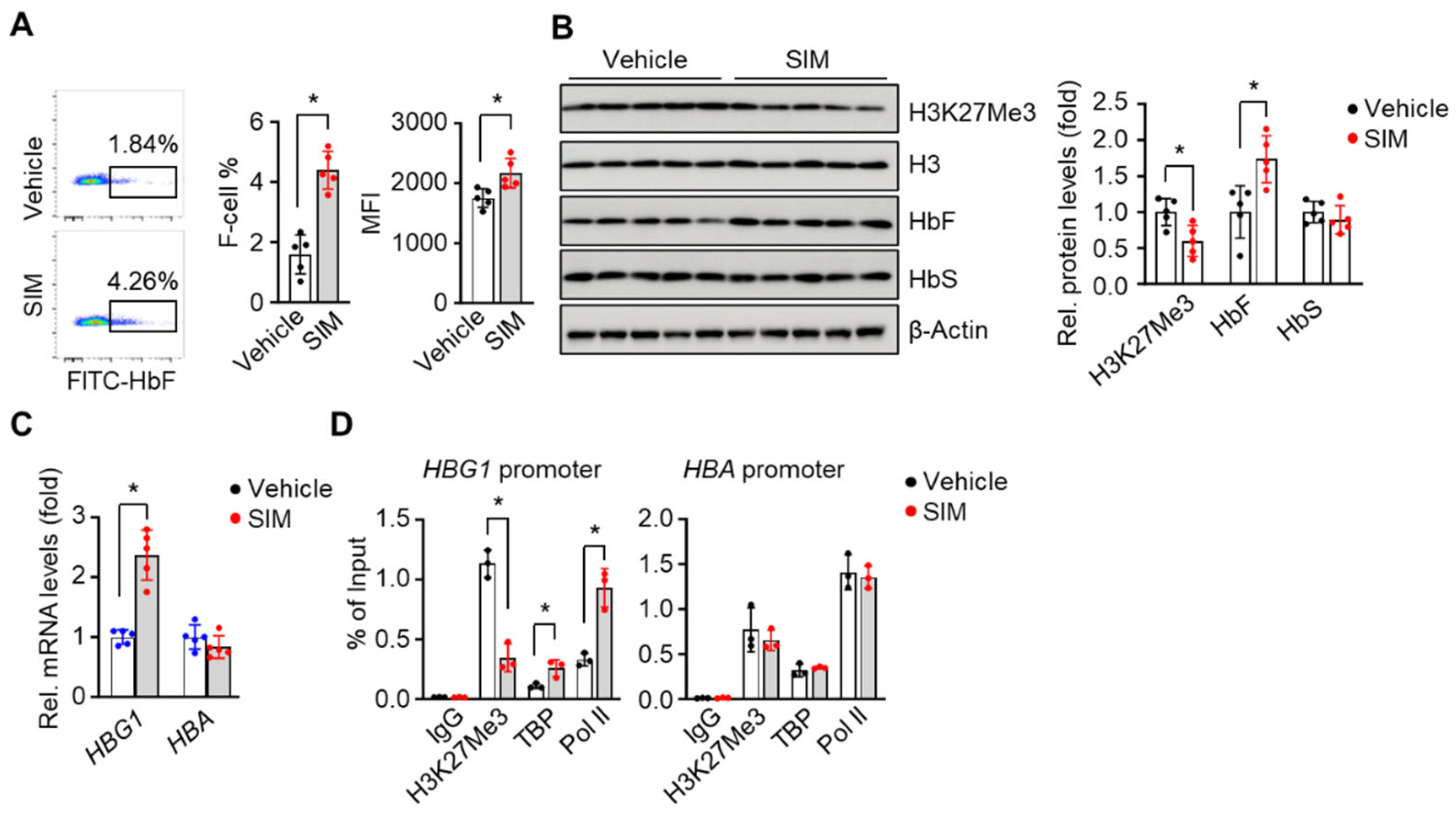 Preprints 97923 g006