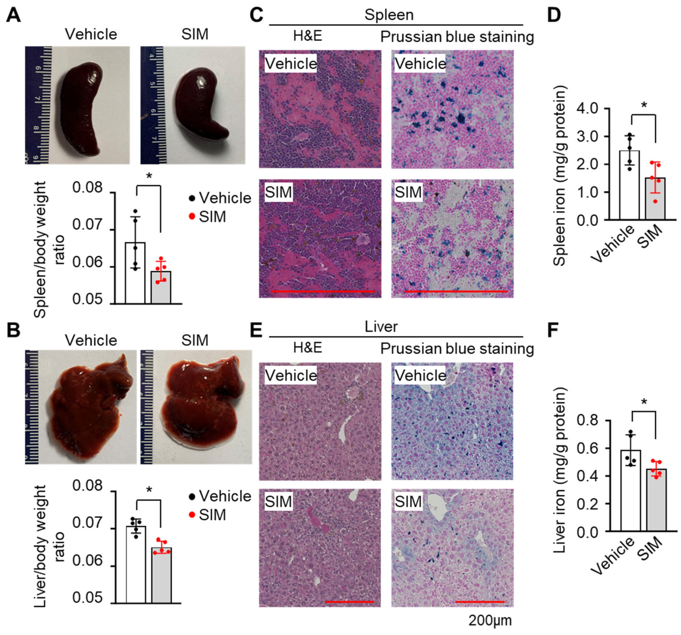 Preprints 97923 g007