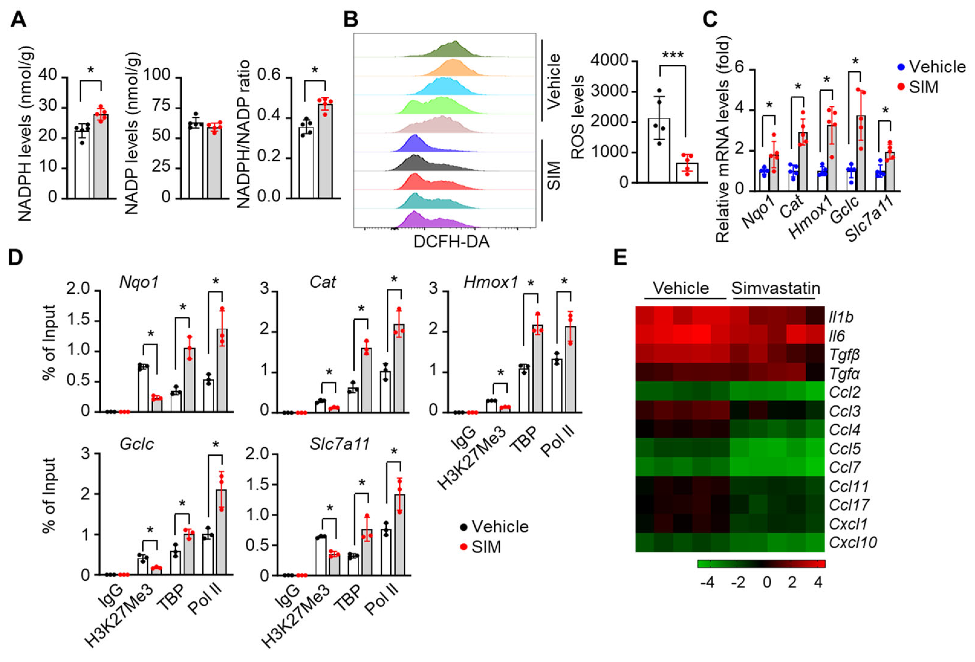 Preprints 97923 g008