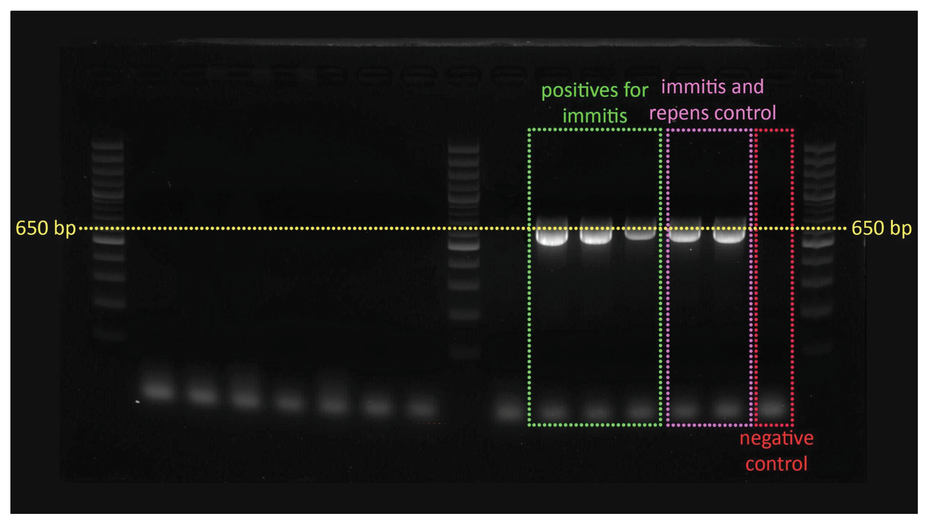 Preprints 103551 g002a