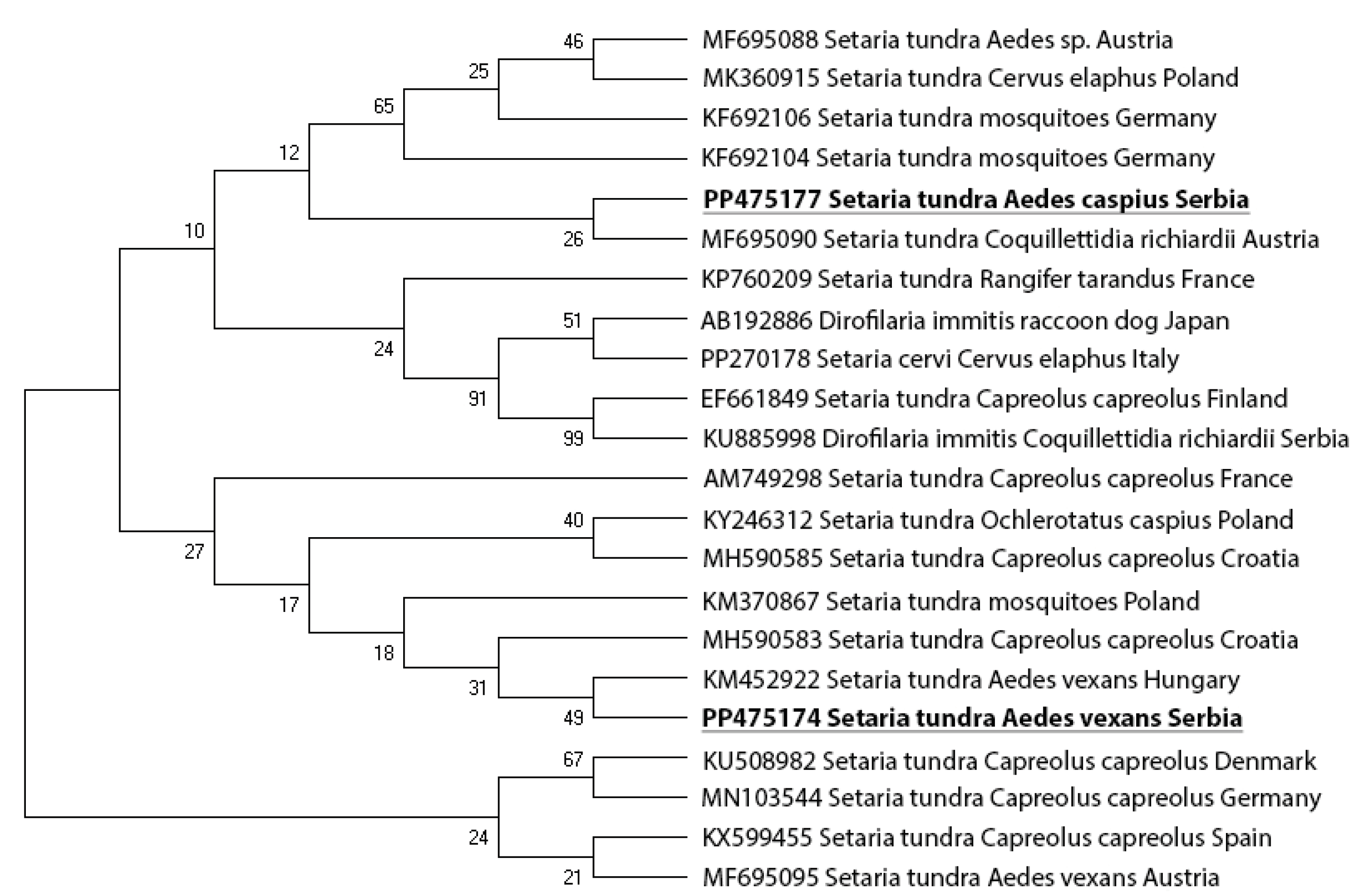 Preprints 103551 g004