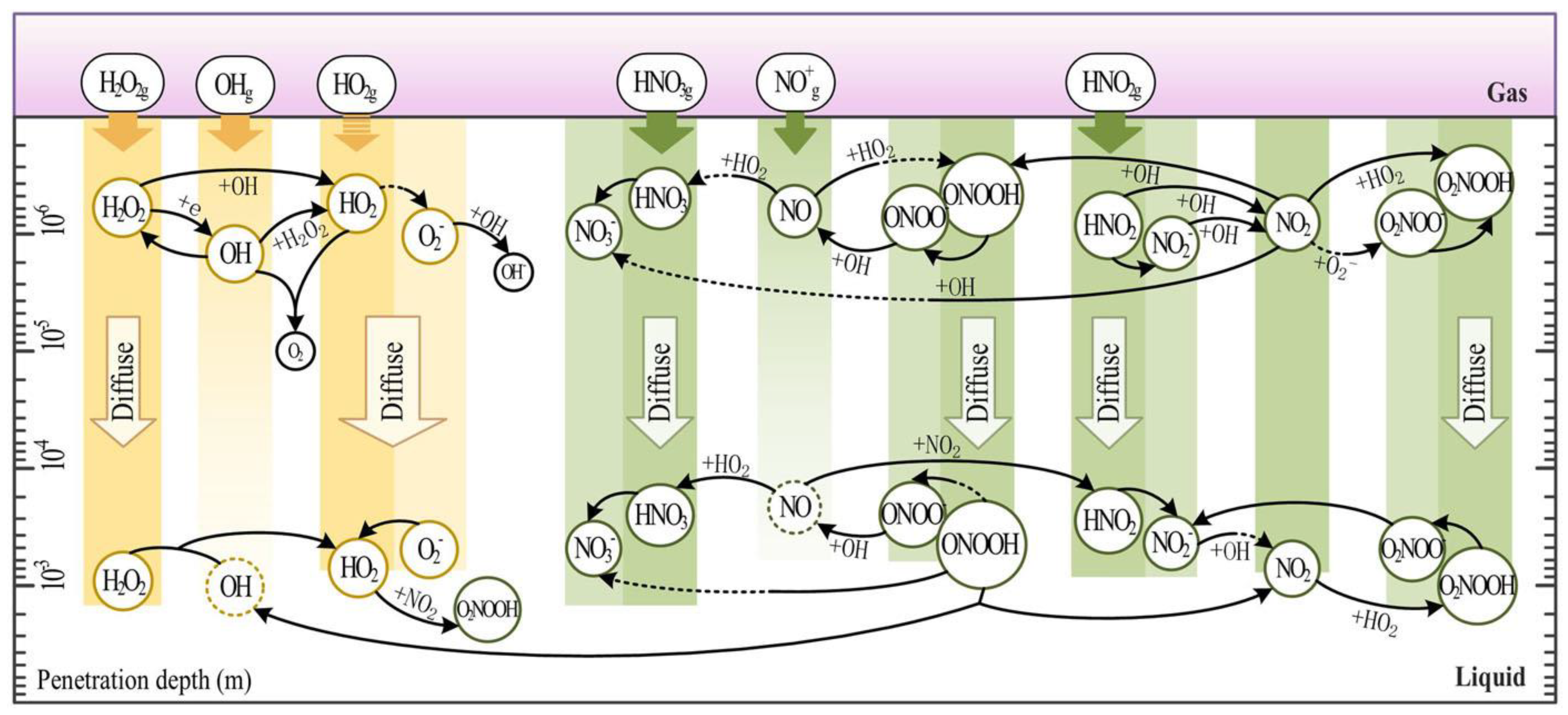 Preprints 102859 g001