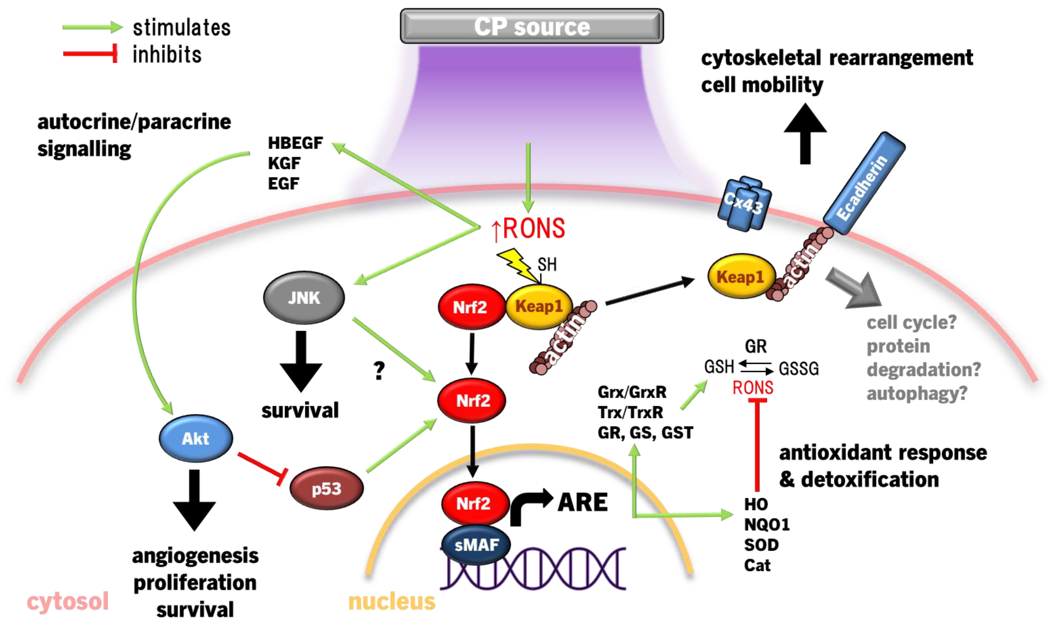 Preprints 102859 g002