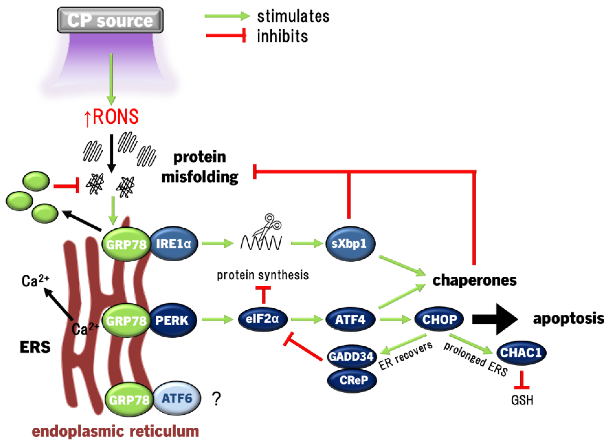 Preprints 102859 g003