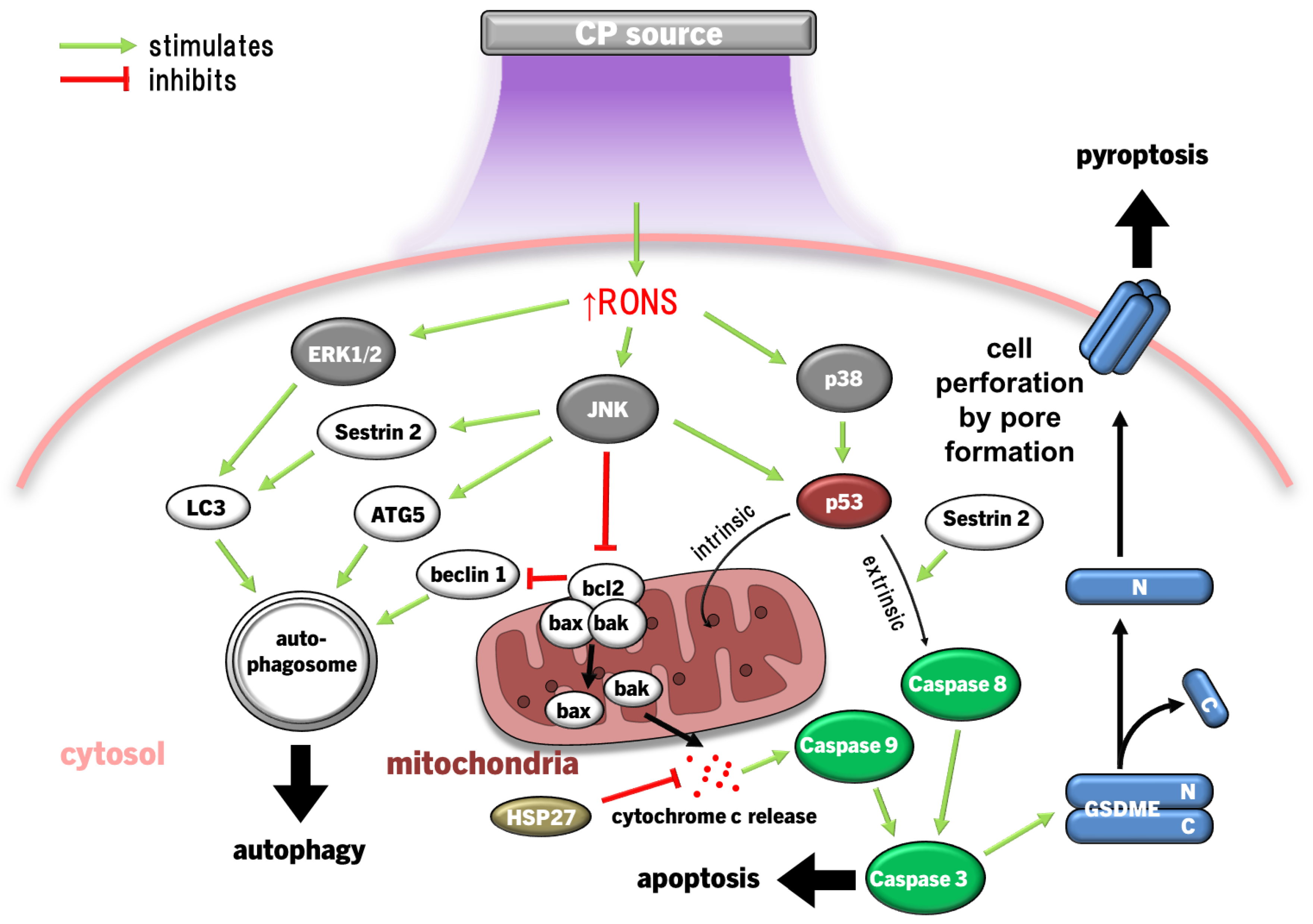 Preprints 102859 g004