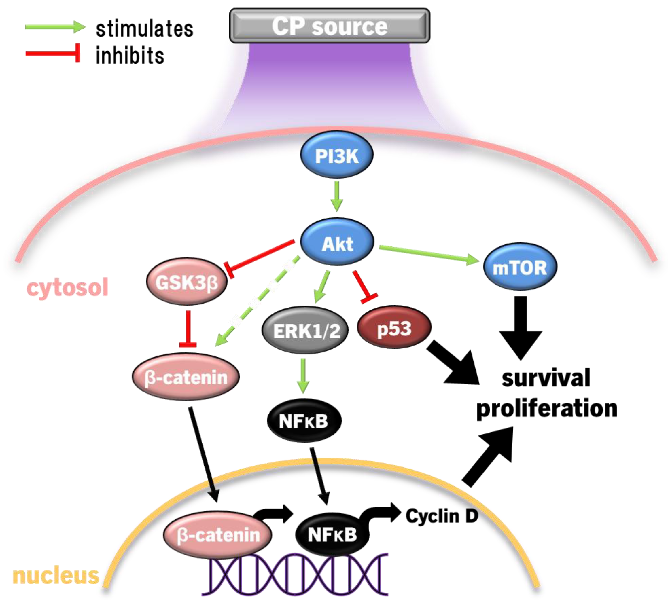 Preprints 102859 g005