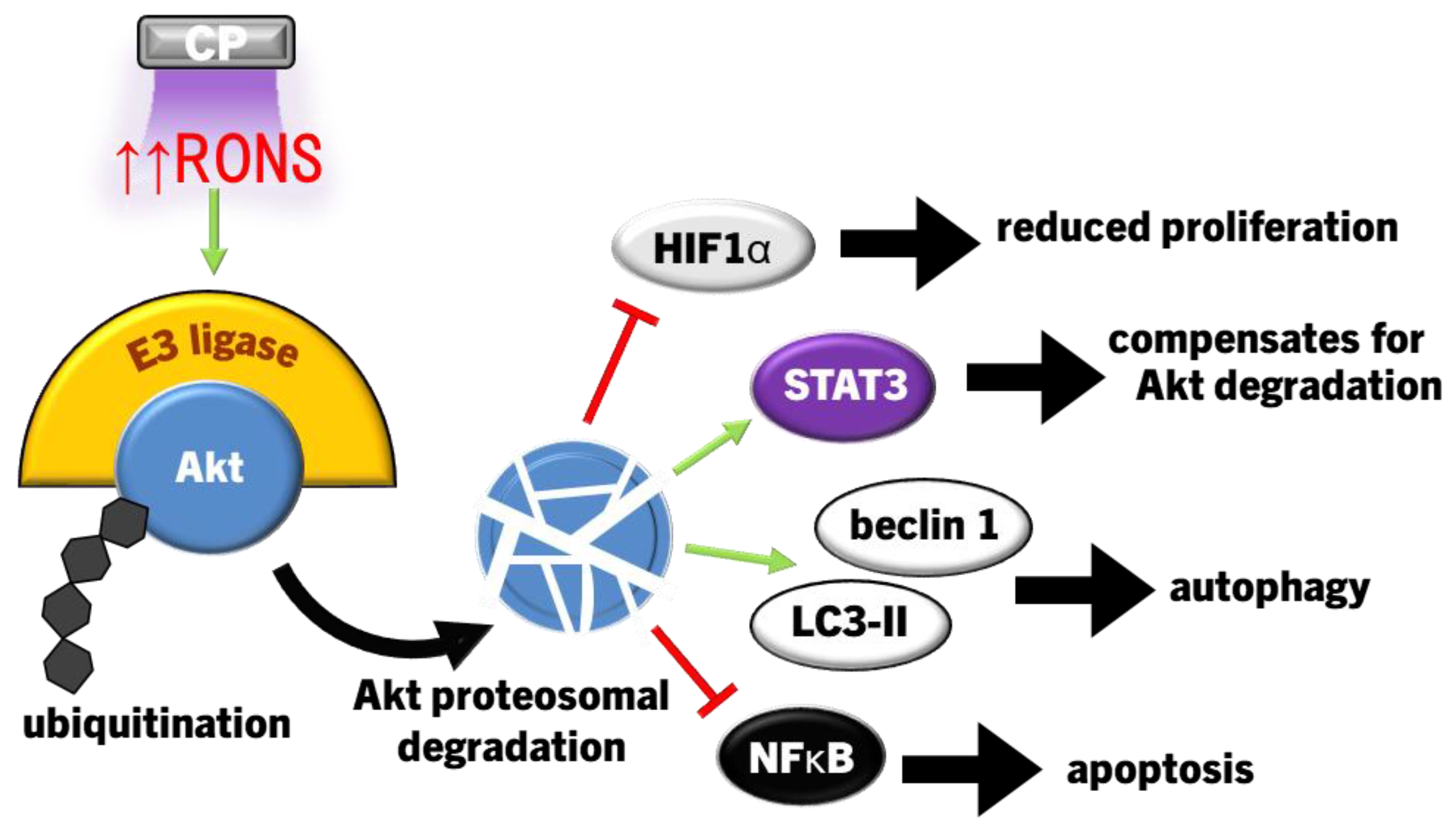 Preprints 102859 g006