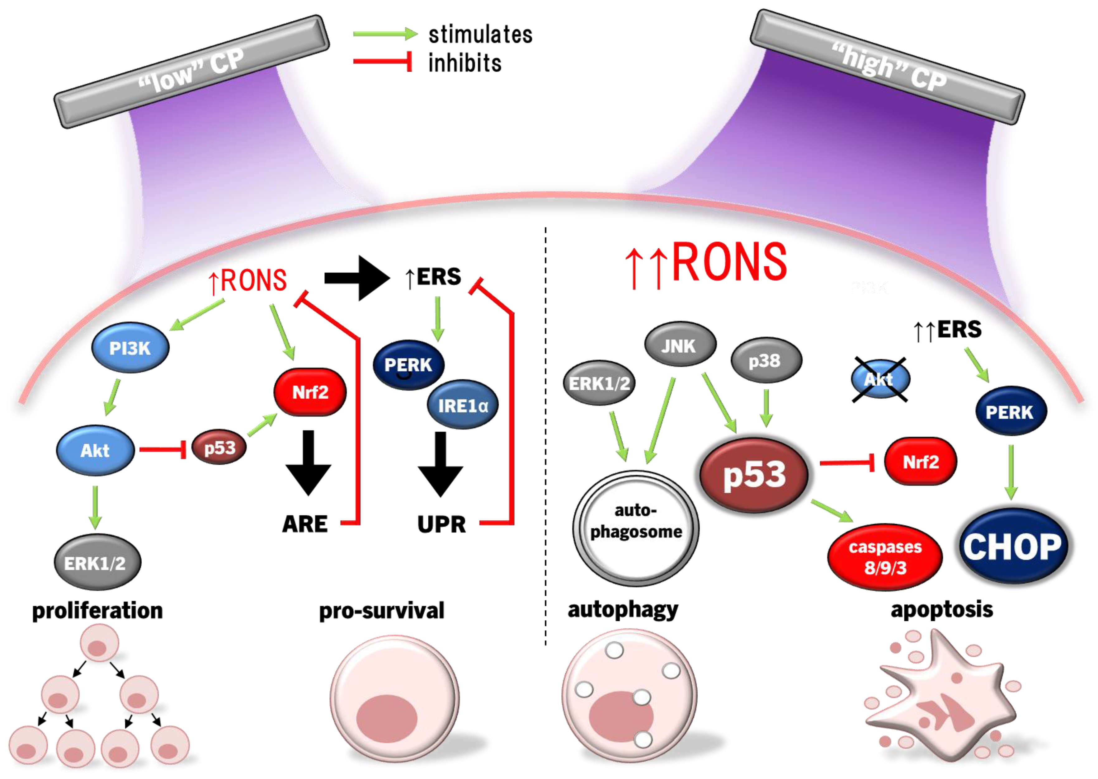 Preprints 102859 g007