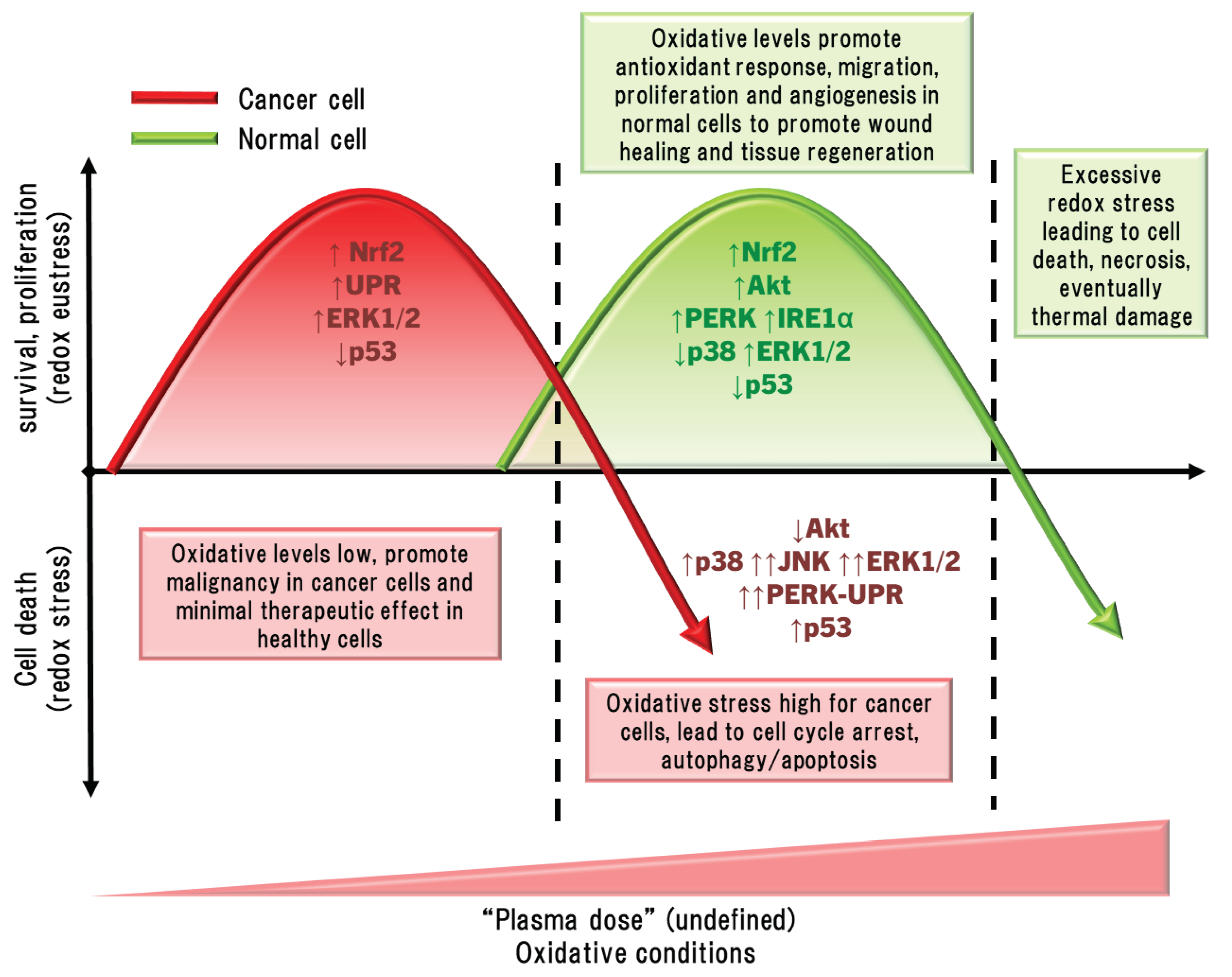 Preprints 102859 g008