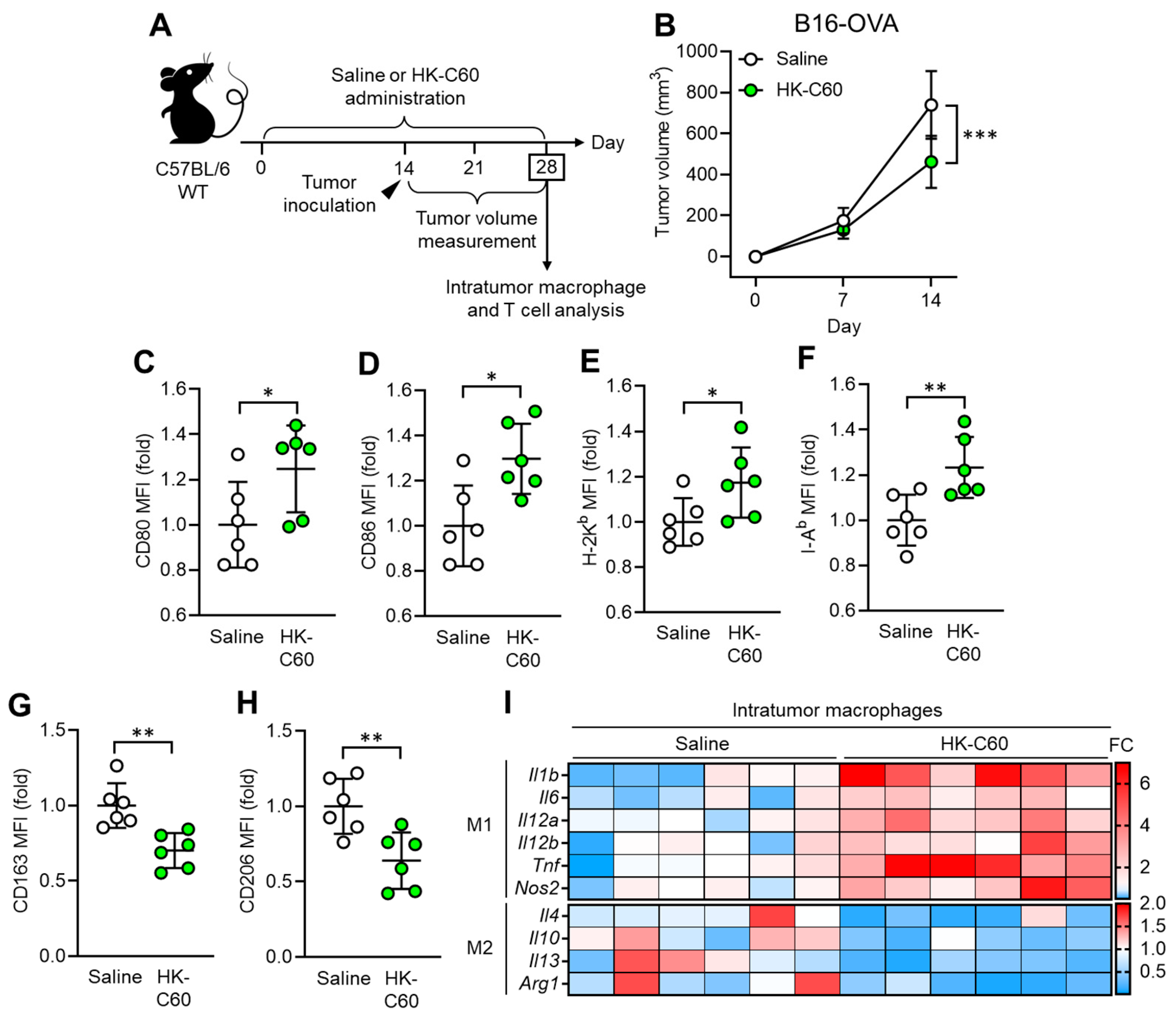 Preprints 104347 g001