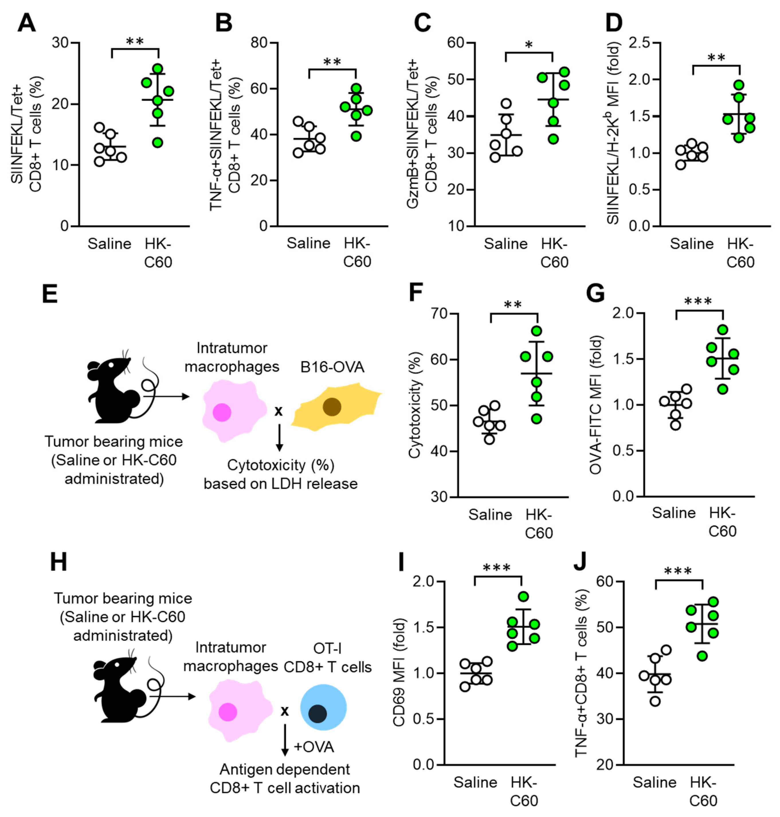 Preprints 104347 g002