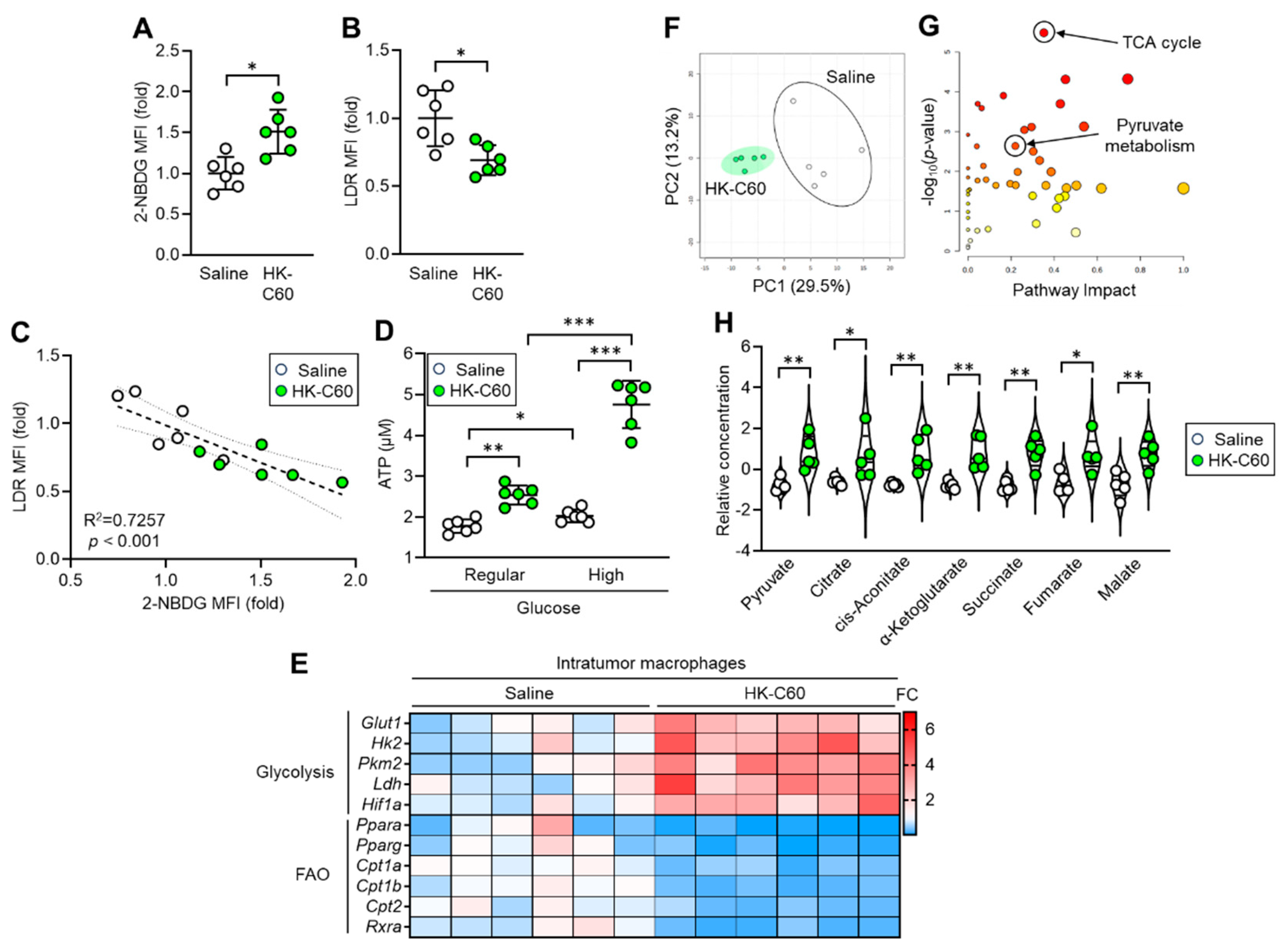 Preprints 104347 g004