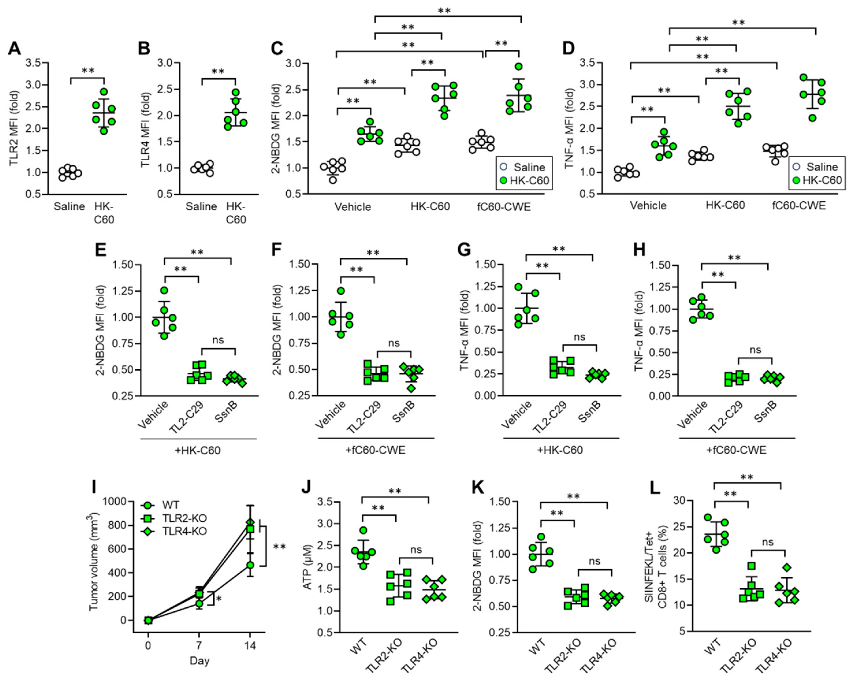 Preprints 104347 g005