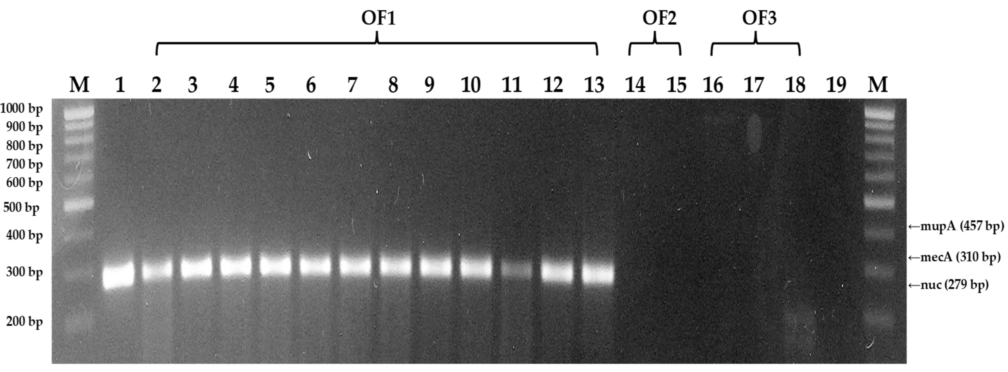 Preprints 77637 g003