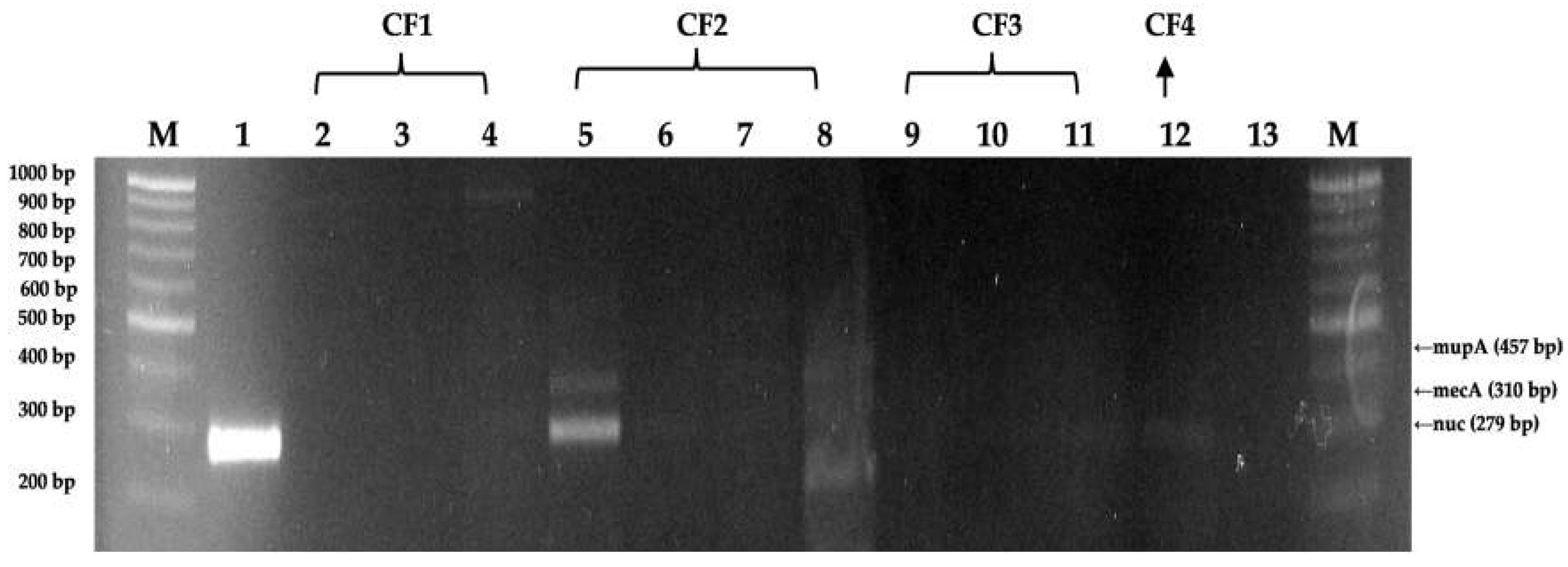 Preprints 77637 g004