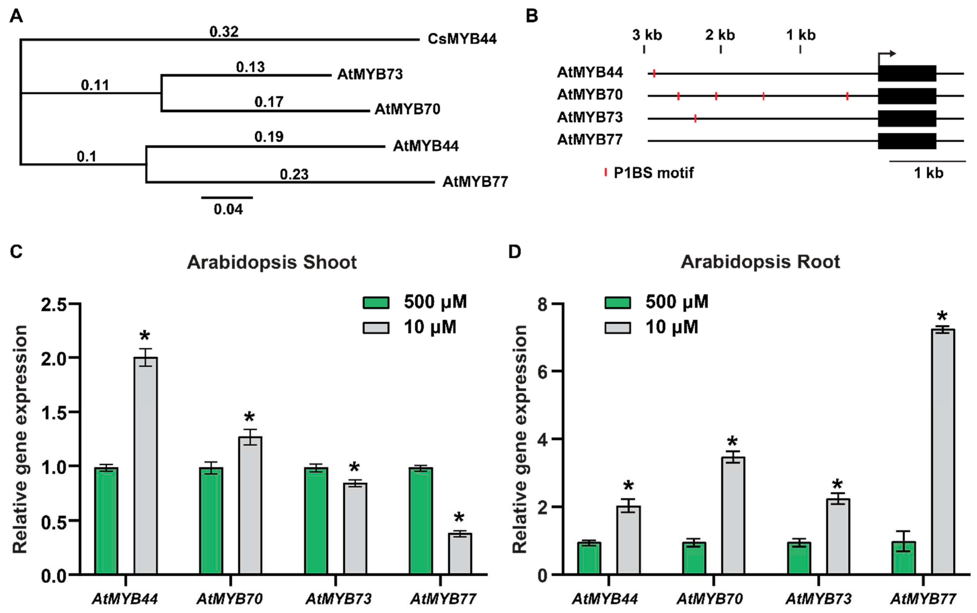 Preprints 82415 g001